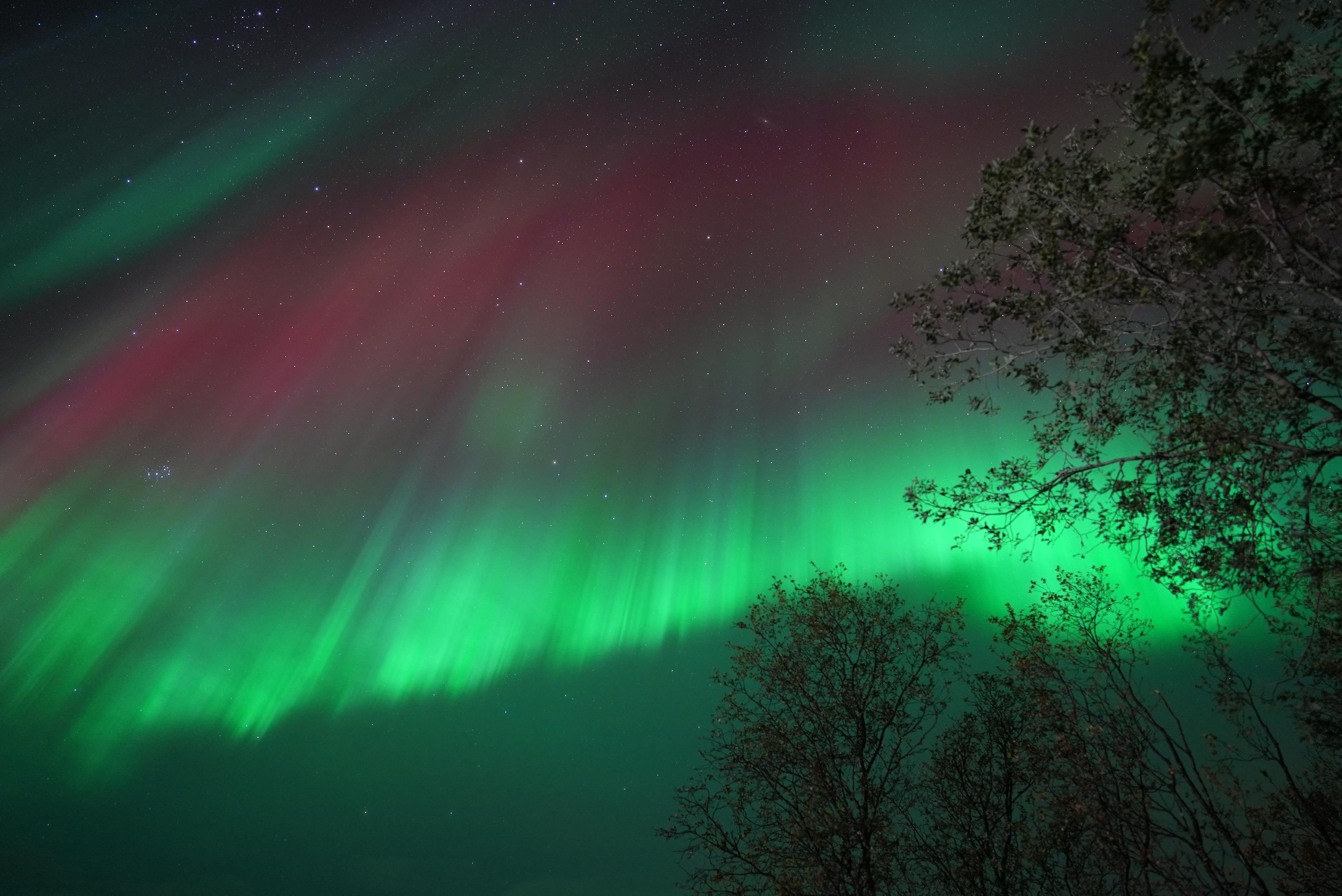 Northern lights chase from Tromsø — image 23