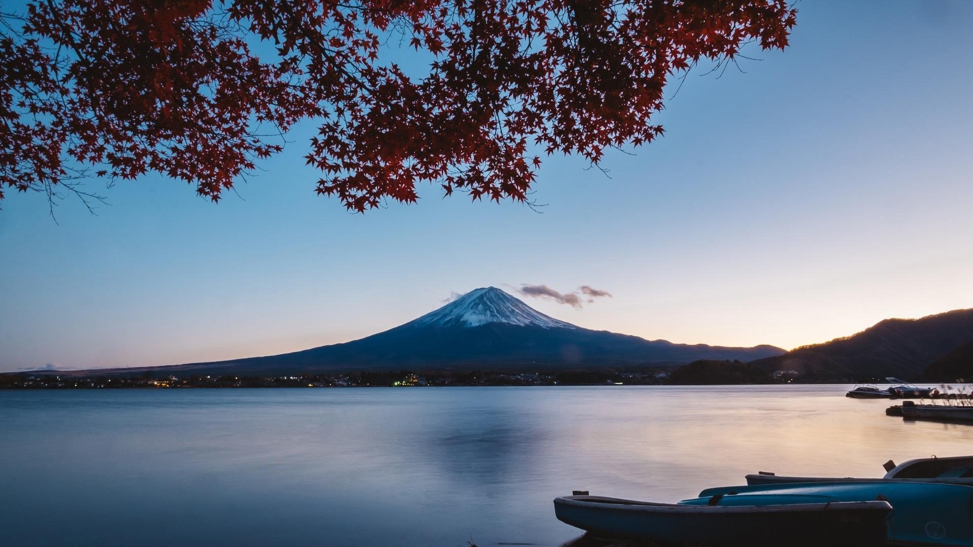 Mt. Fuji Iconic Views & Photography Day Trip from Tokyo