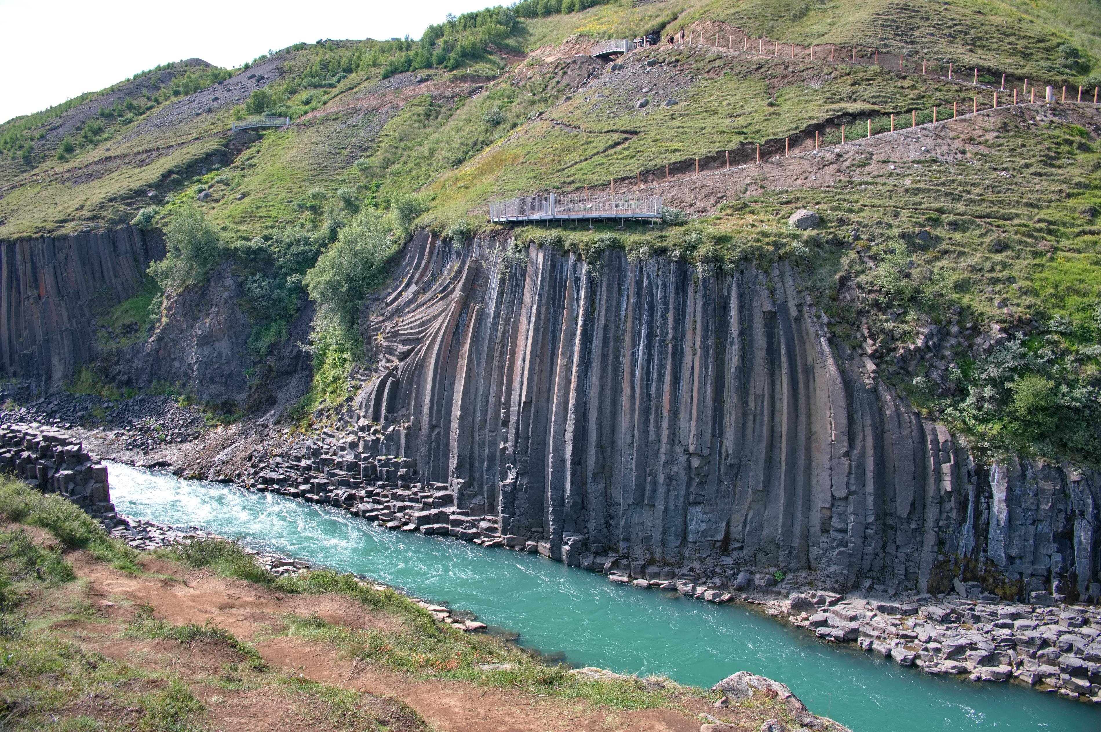East Iceland Reindeer & Canyon Discovery