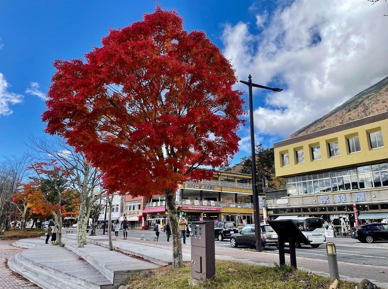 Tokyo to Nikko: Private Luxury Day Trip to UNESCO World Heritage Sites