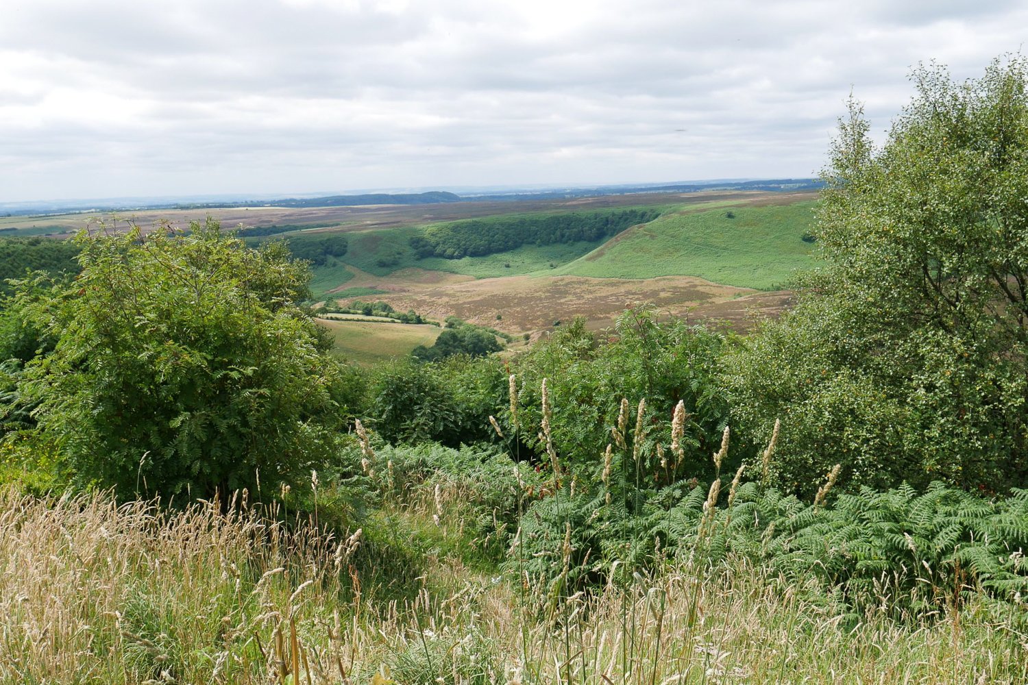 Heartbeat Filming Locations Yorkshire Tour