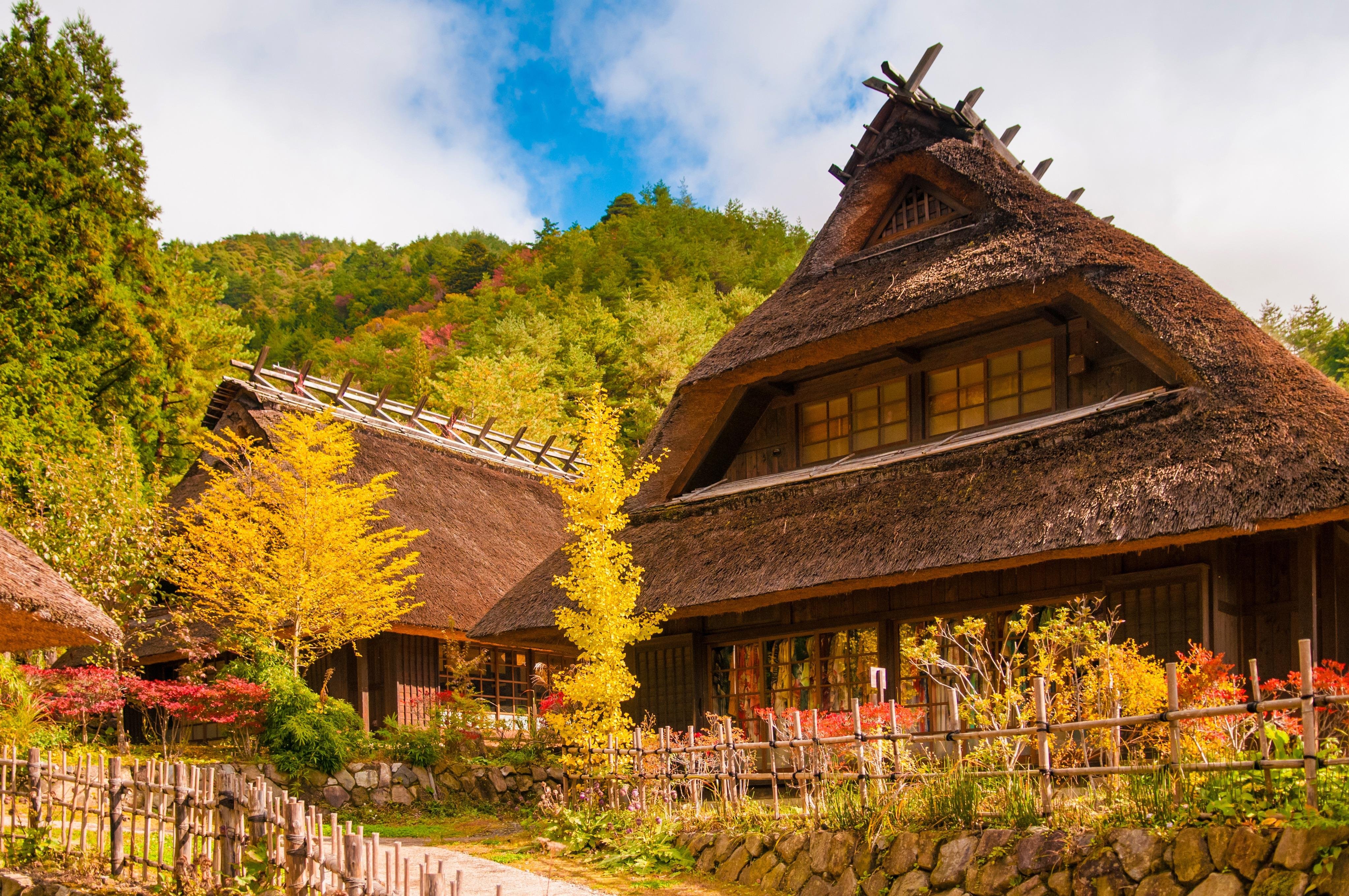 Mt Fuji day trip from Tokyo — image 59