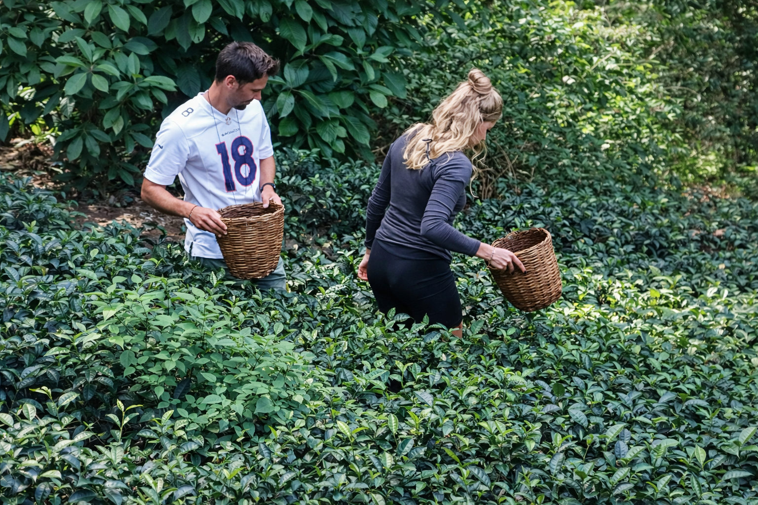 Ella: Hands-On Tea Making and Tasting Experience