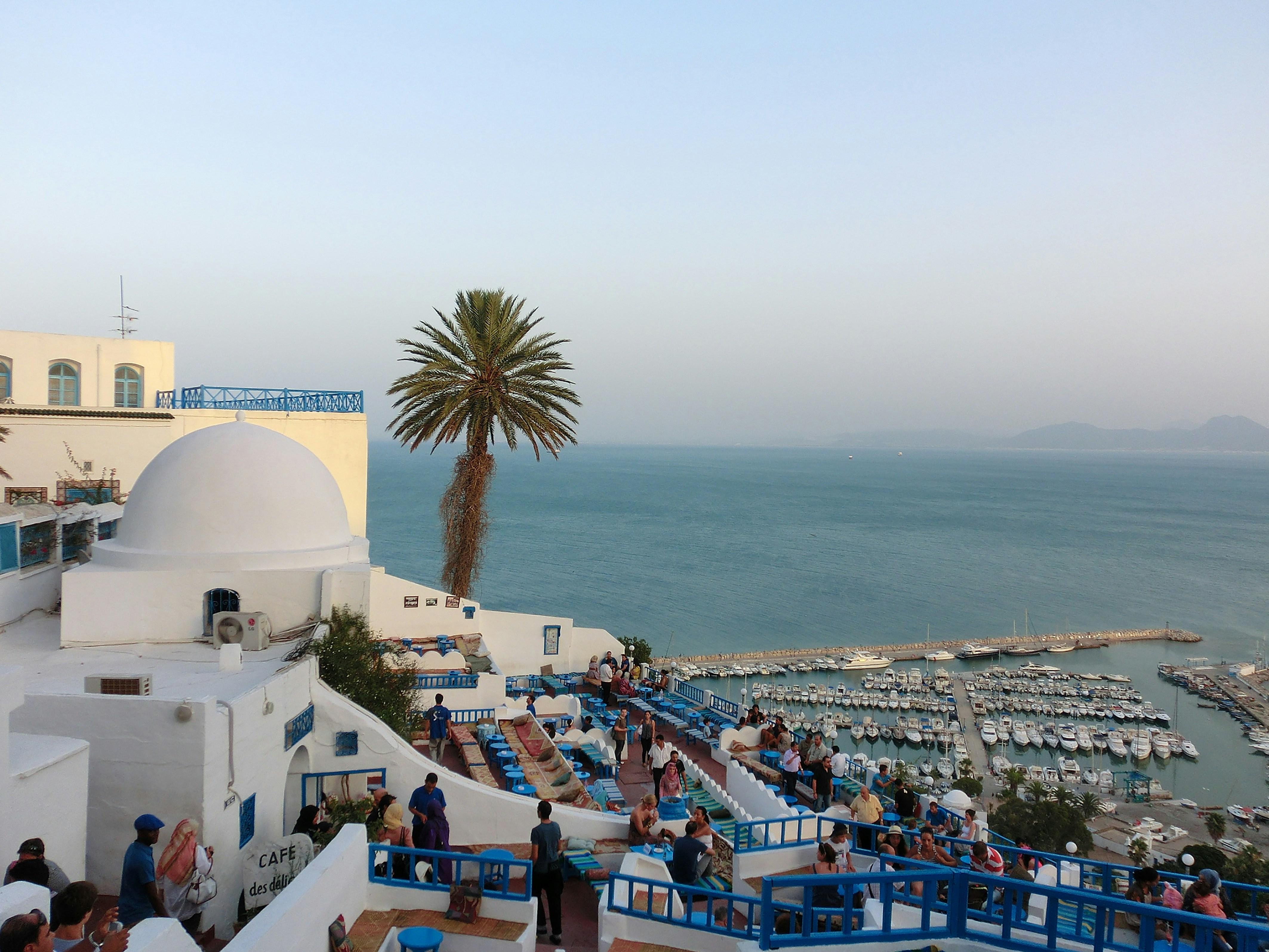 Tunis Day Trip: Sidi Bou Said, Carthage & Medina