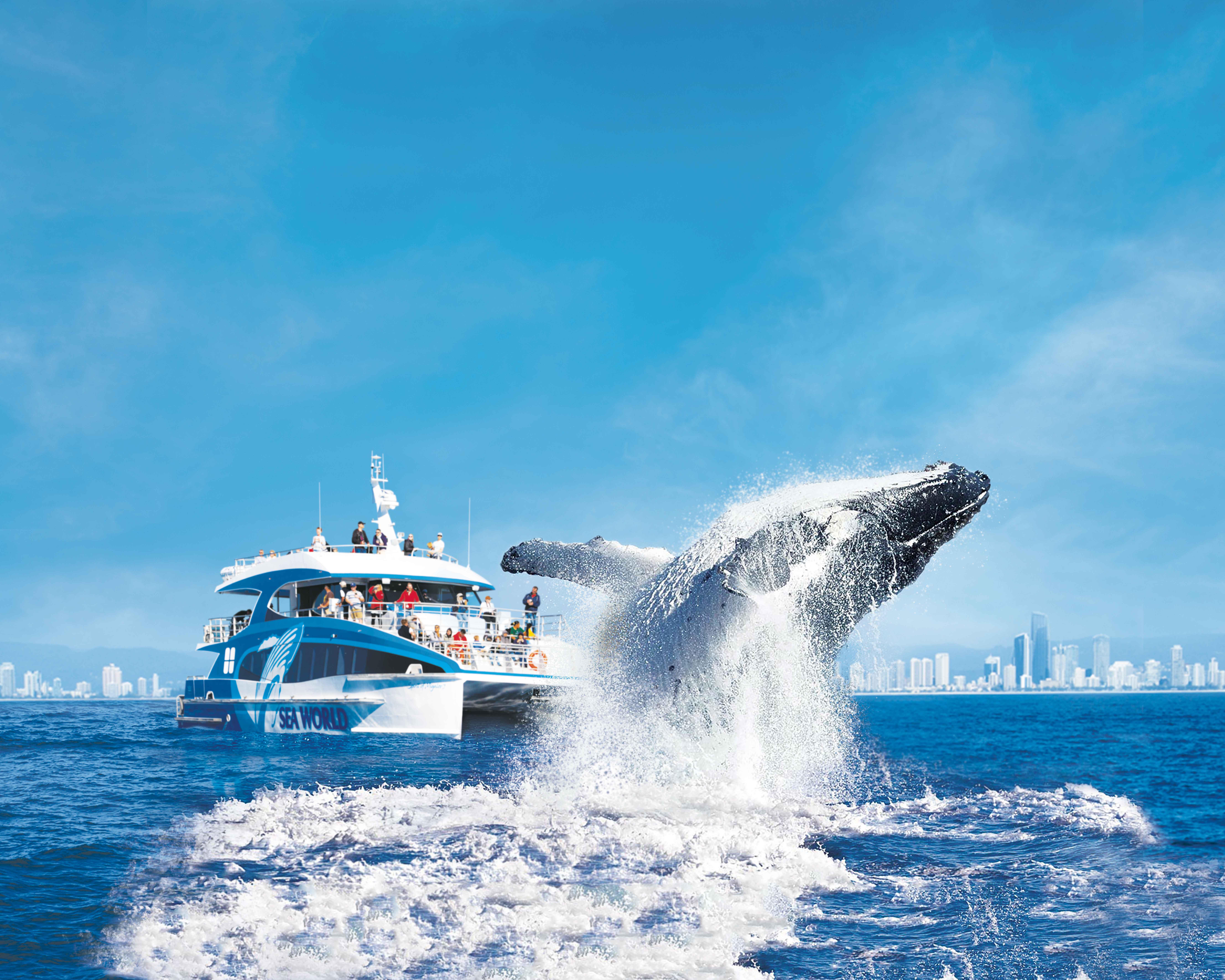 Whale Watching Cruise with Sea World Access