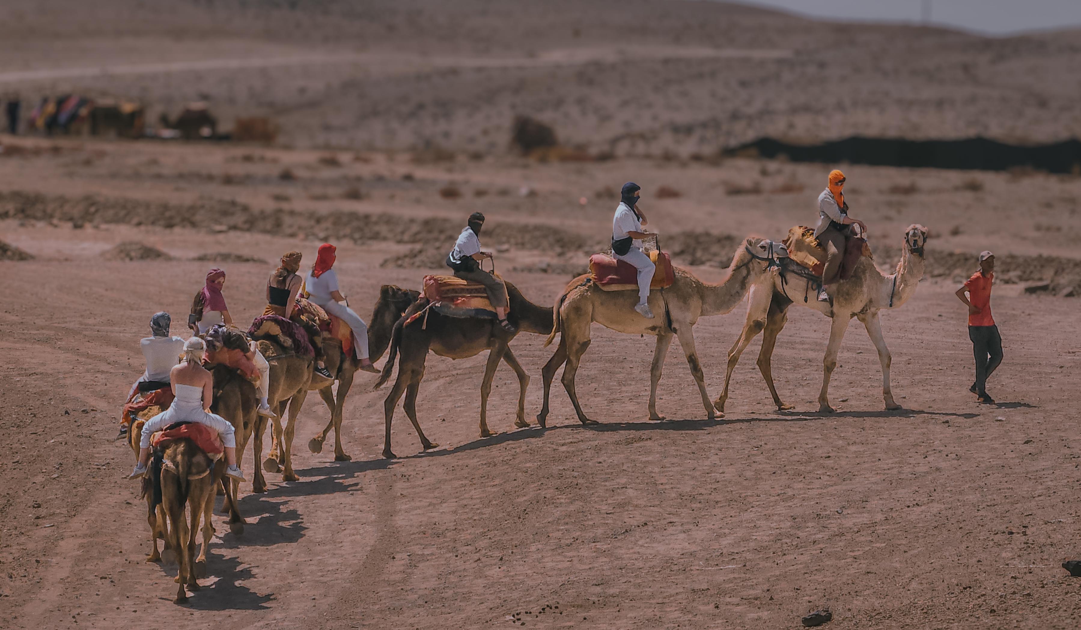 Agafay Desert Day Trip: Quad Biking, Camel Ride, Lunch & Pool