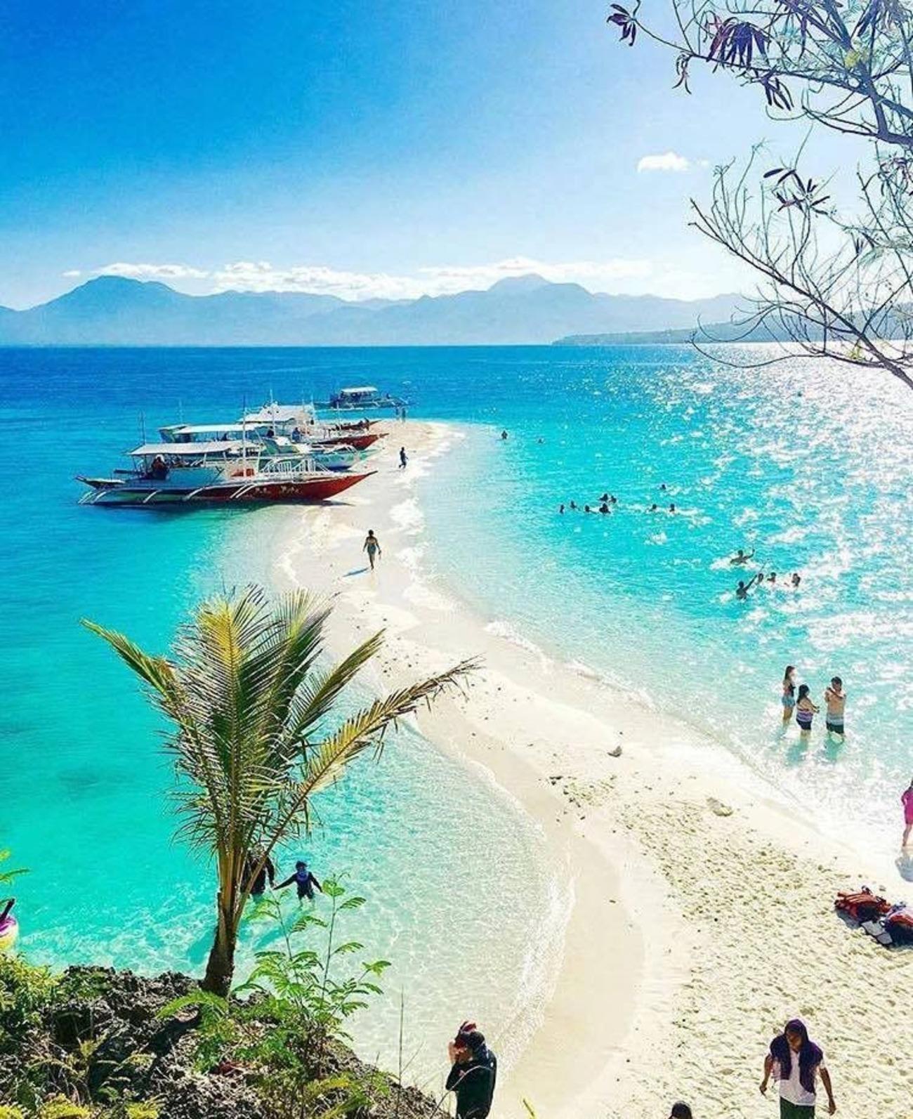 Cebu Triple Wonder: Whale Sharks, Sumilon Sandbar & Tumalog Falls