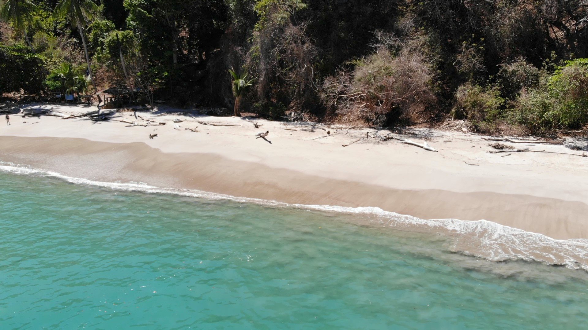 Isla Tortuga Snorkeling Adventure from Paquera