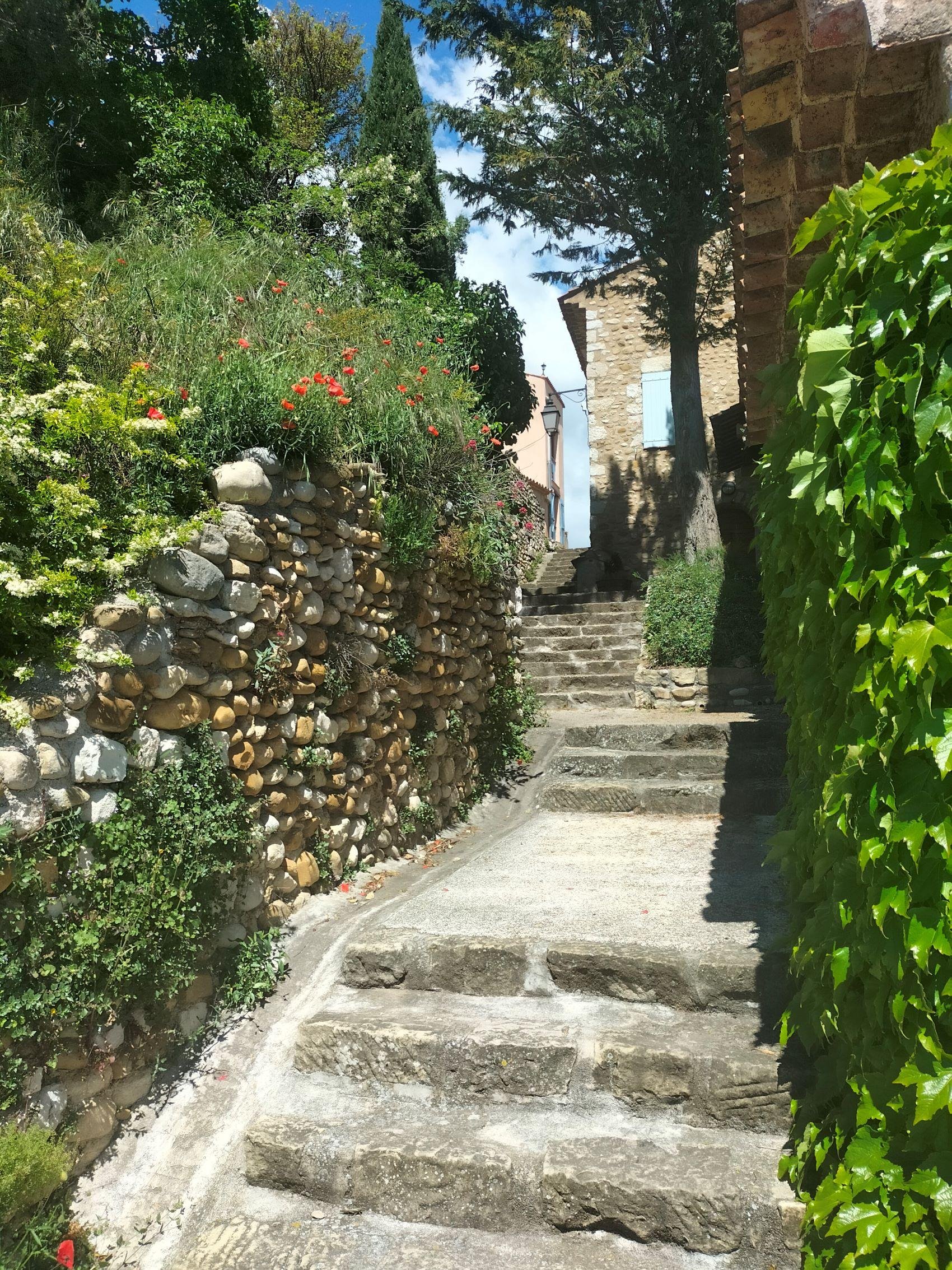 Gorges du Verdon in Provence — Verdon Gorge tour photo 29