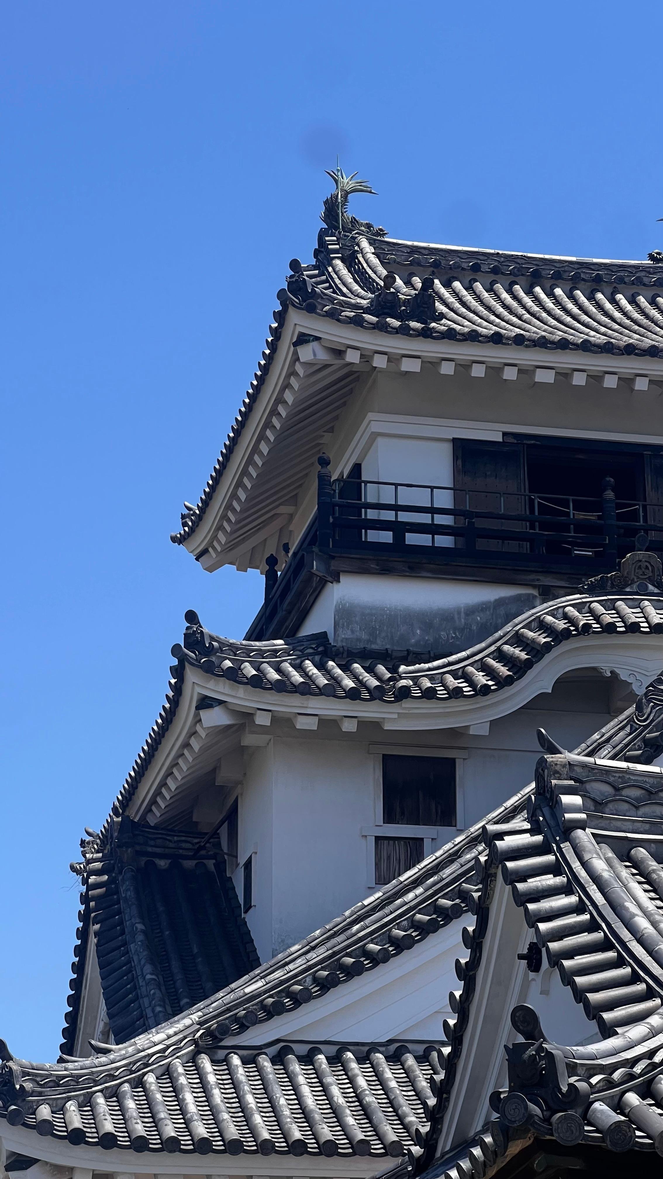 Private Kochi City Tour: Castle, Market & Botanical Garden