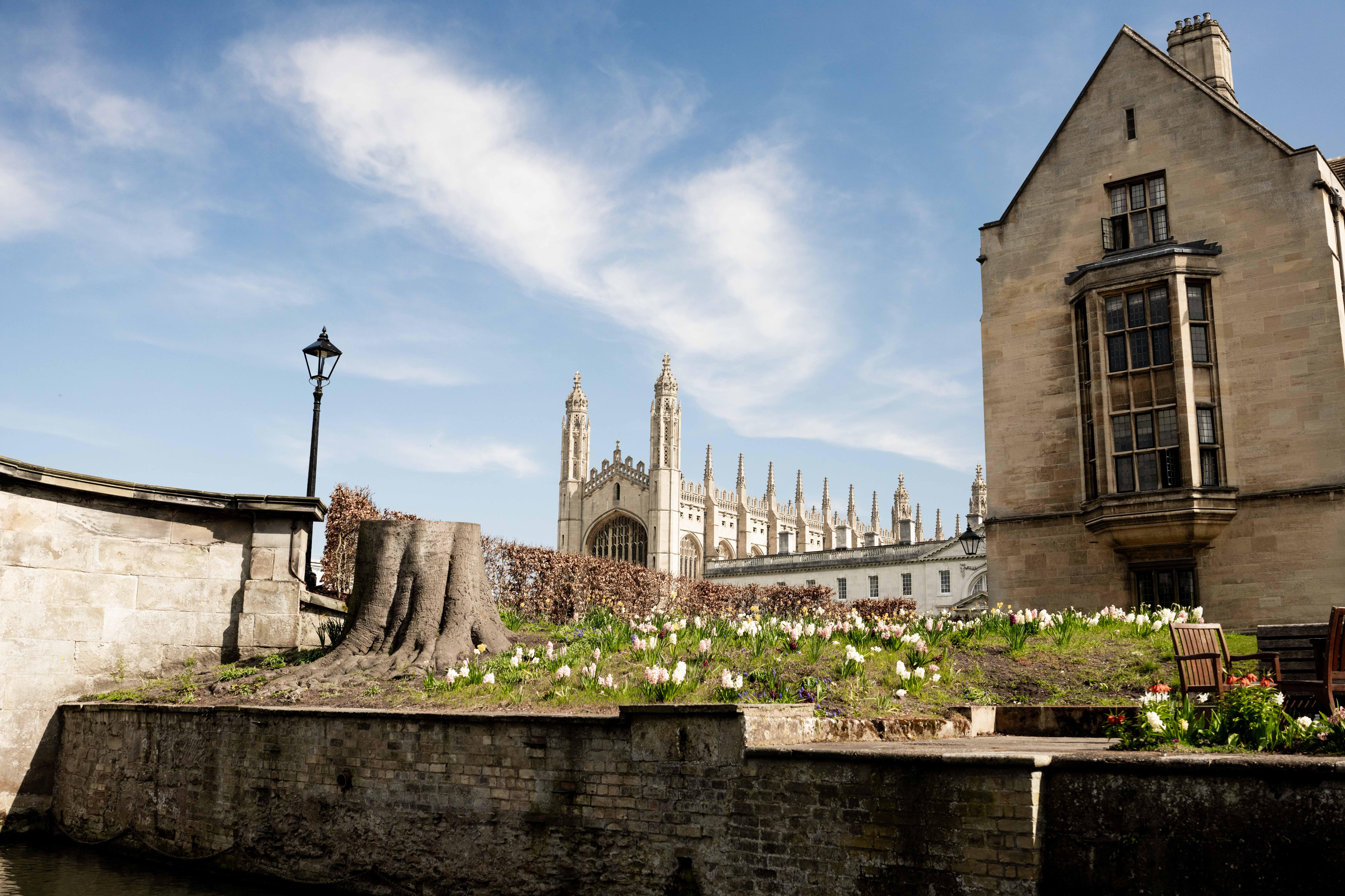 Cambridge University: Guided Punting Tour on the River Cam