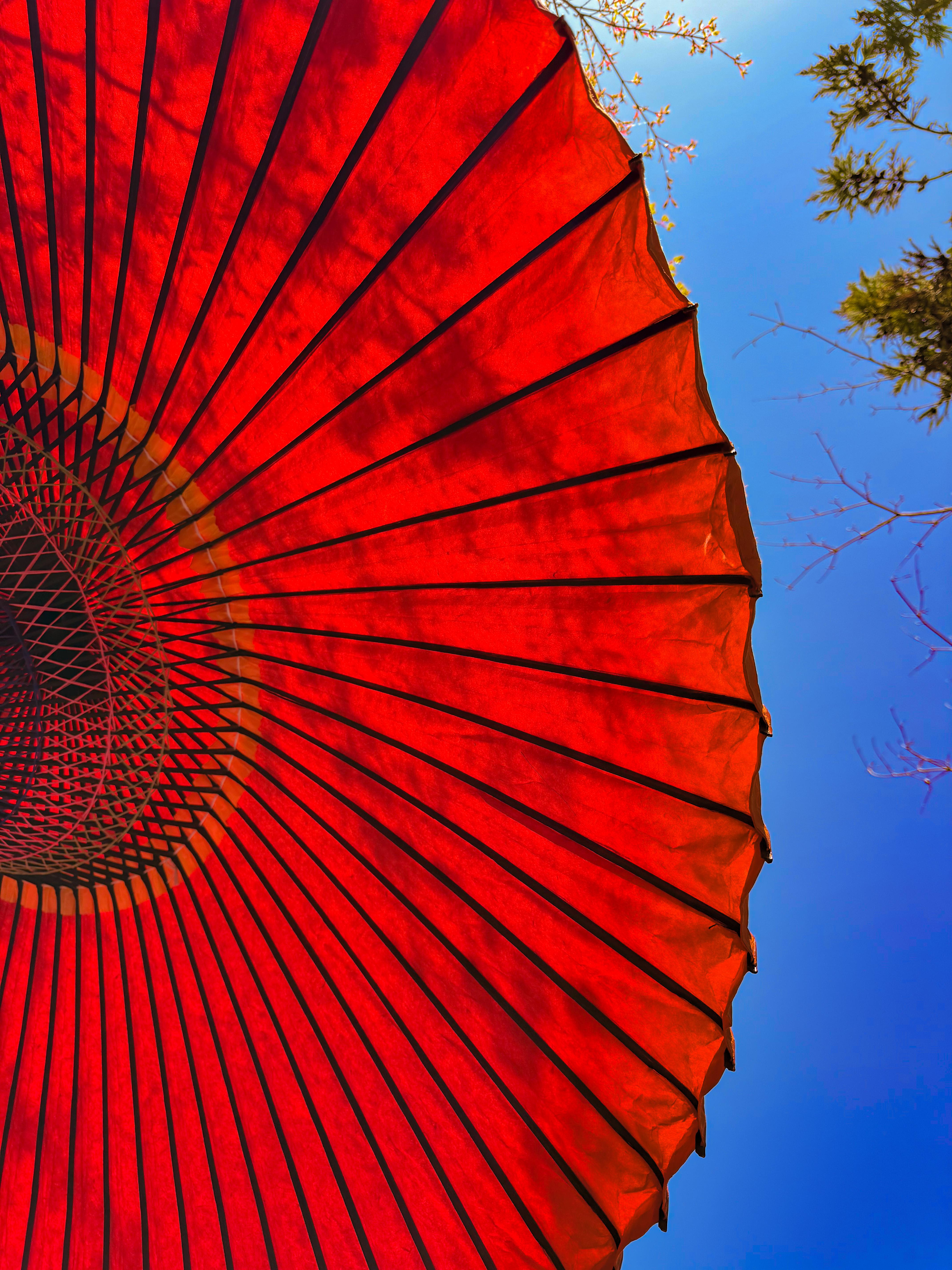 Kyoto Private Day Tour with Guide & Vehicle
