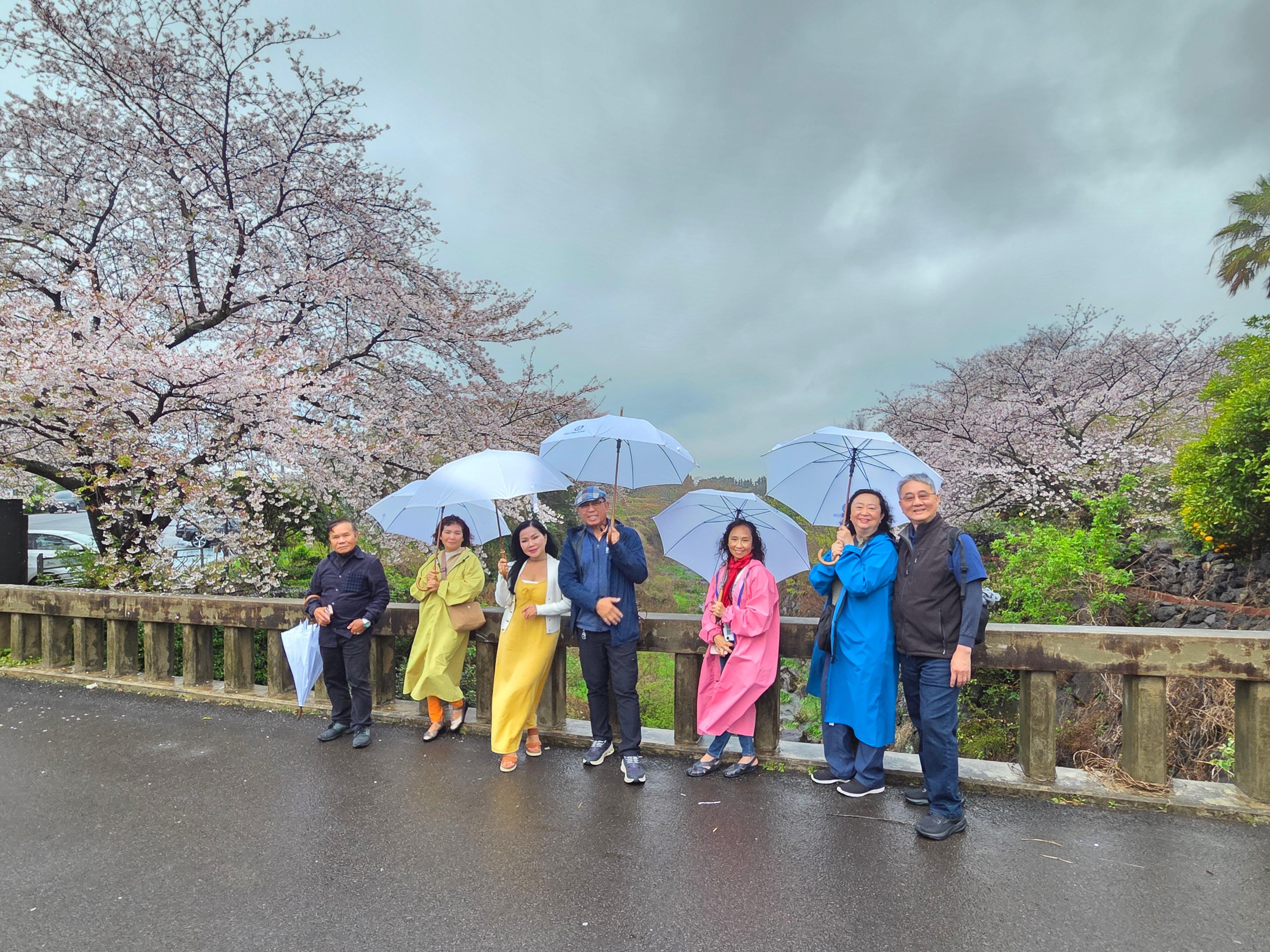 Jeju private taxi tour — image 4