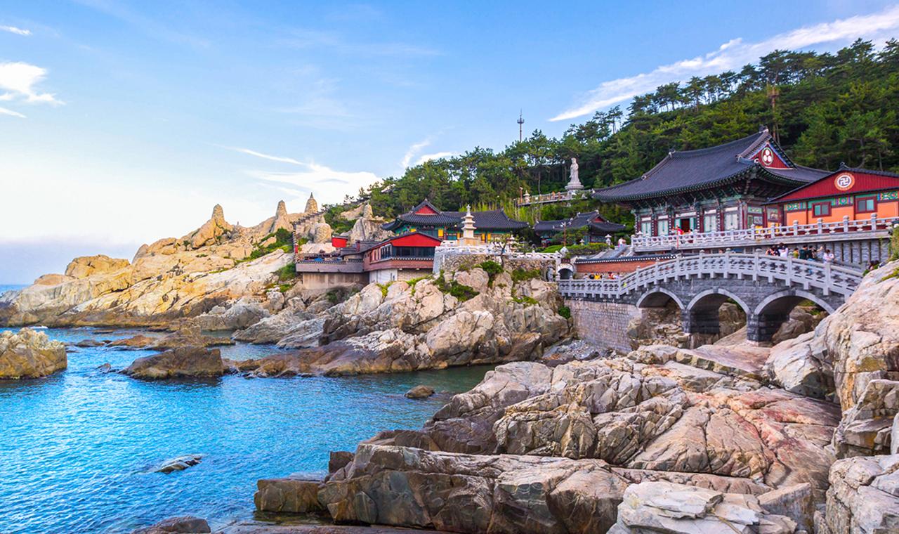 Busan Highlights: Full-Day Guided City Tour