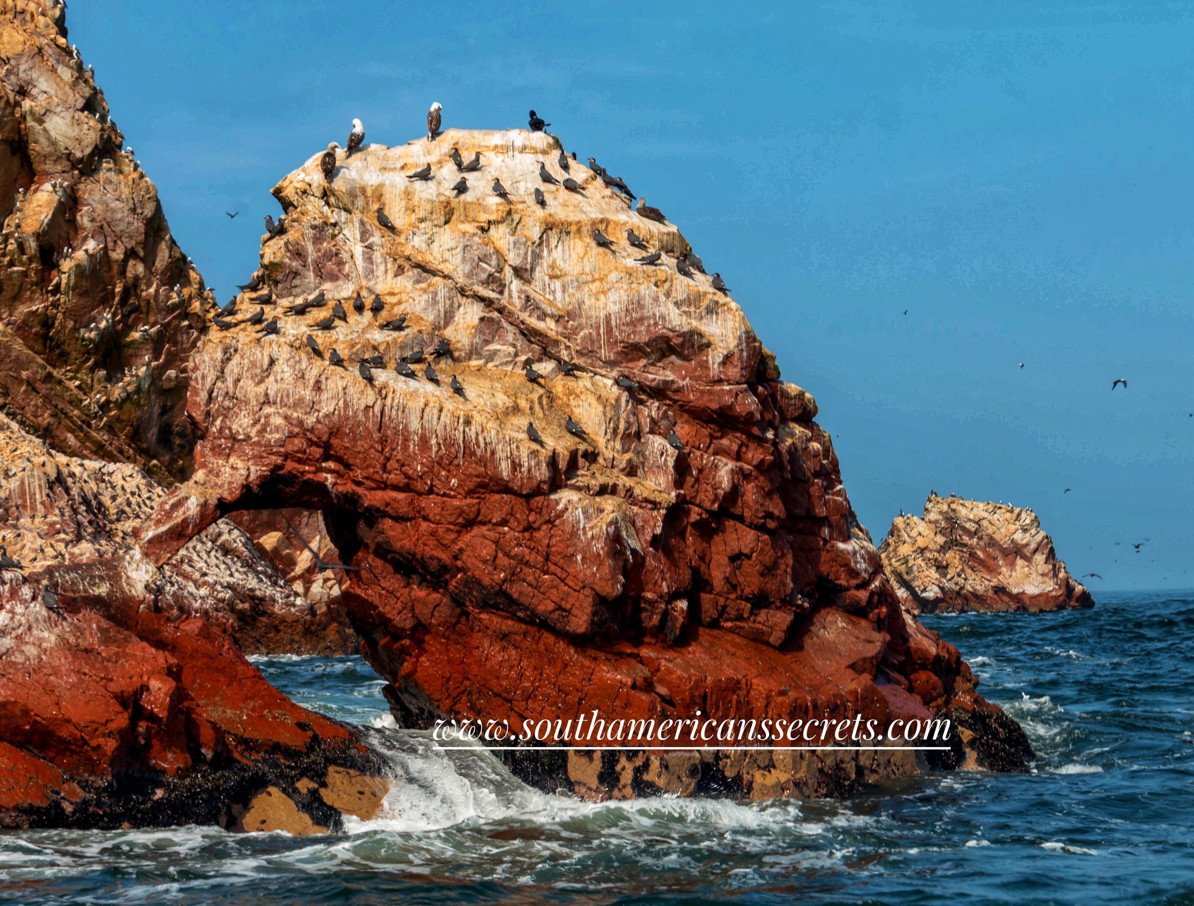 Excursión ecológica en barco a las islas Ballestas