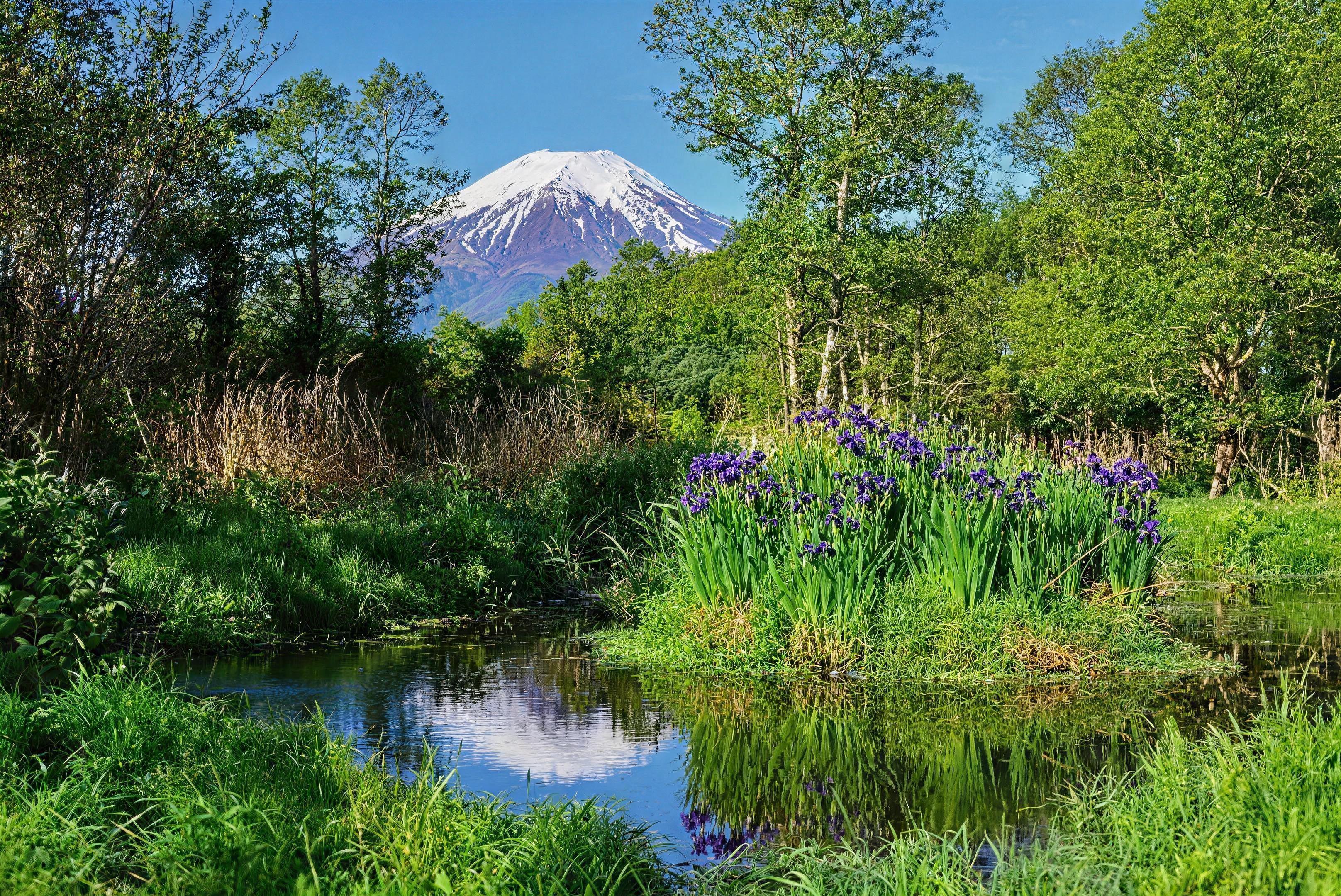 Mt Fuji, Chureito Pagoda & Lake Kawaguchi Full-Day Tour from Tokyo