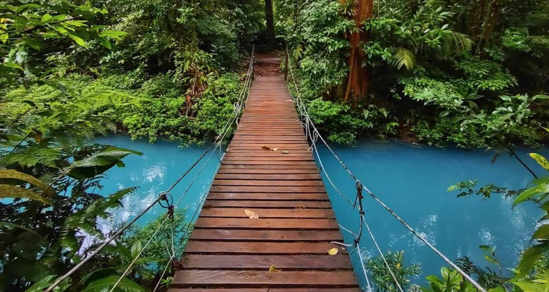 Rio Celeste Rainforest Hike in Tenorio Volcano National Park