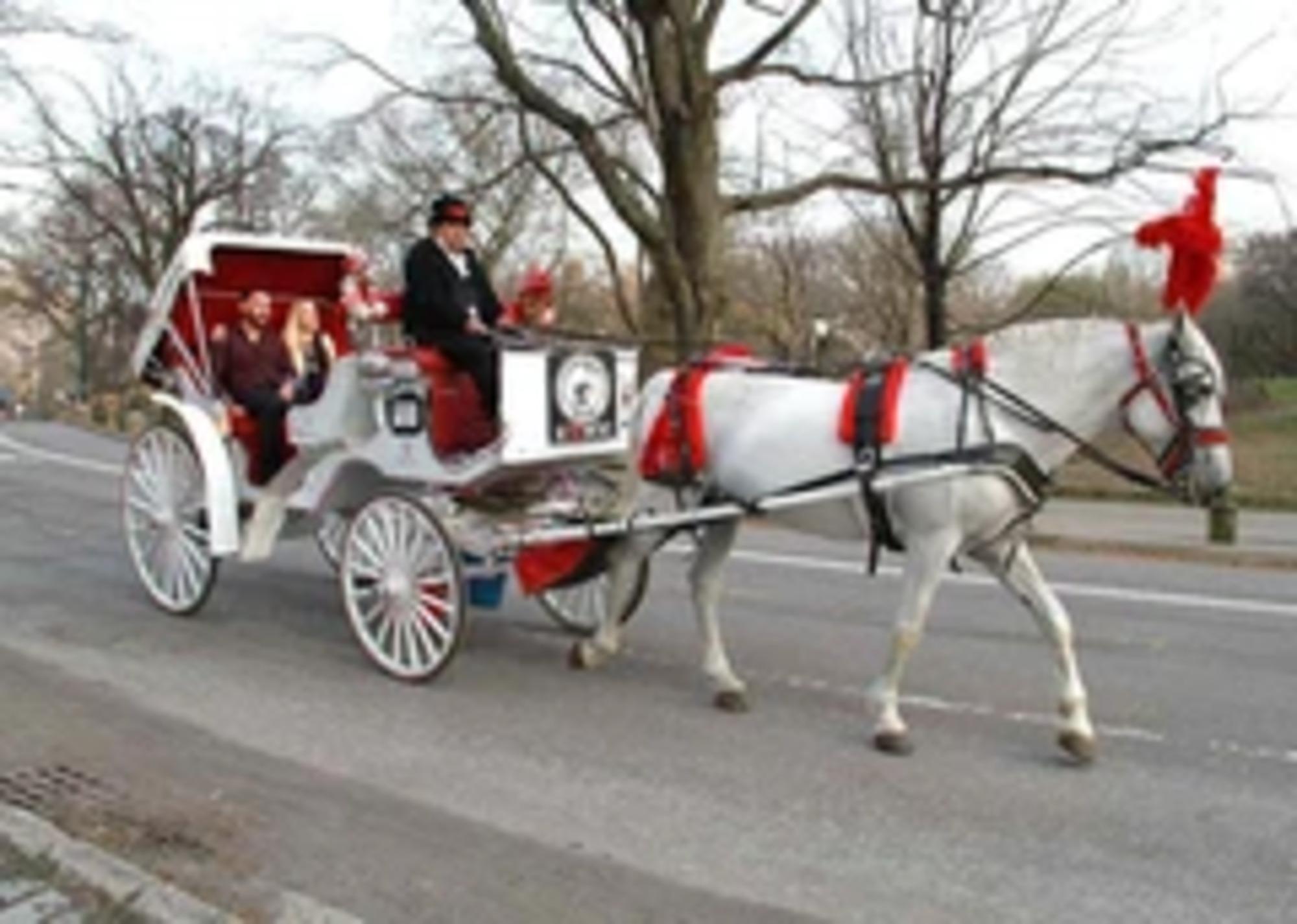 Central Park 45-Minute Horse-Drawn Carriage Tour