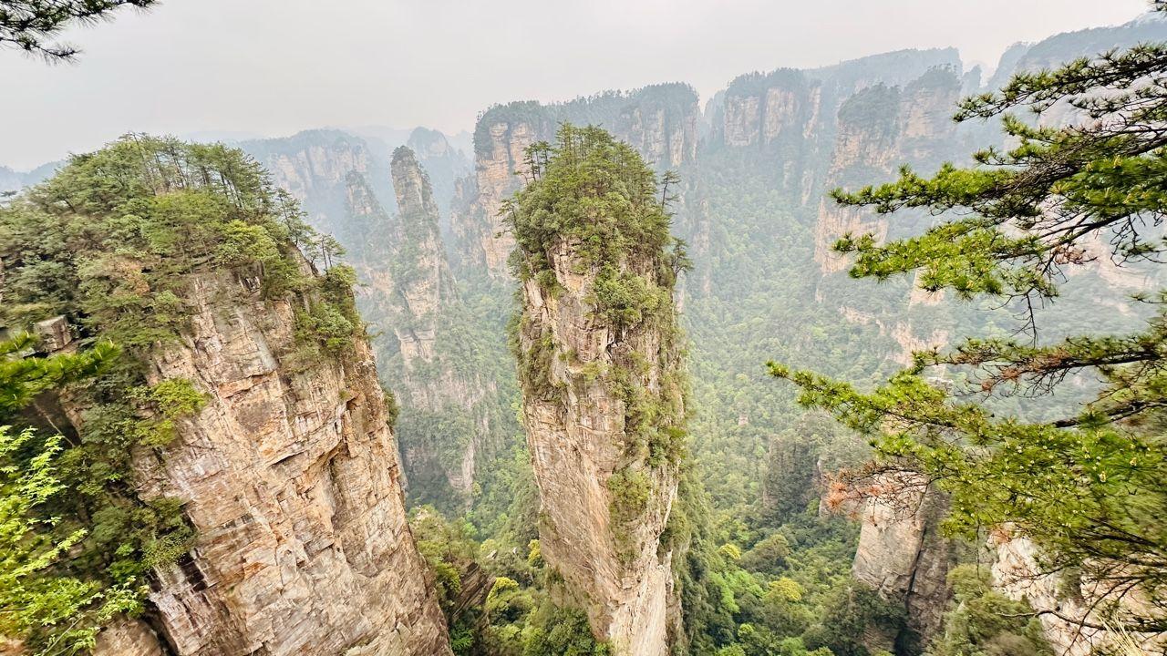 Zhangjiajie National Forest Park Private VIP Day Tour