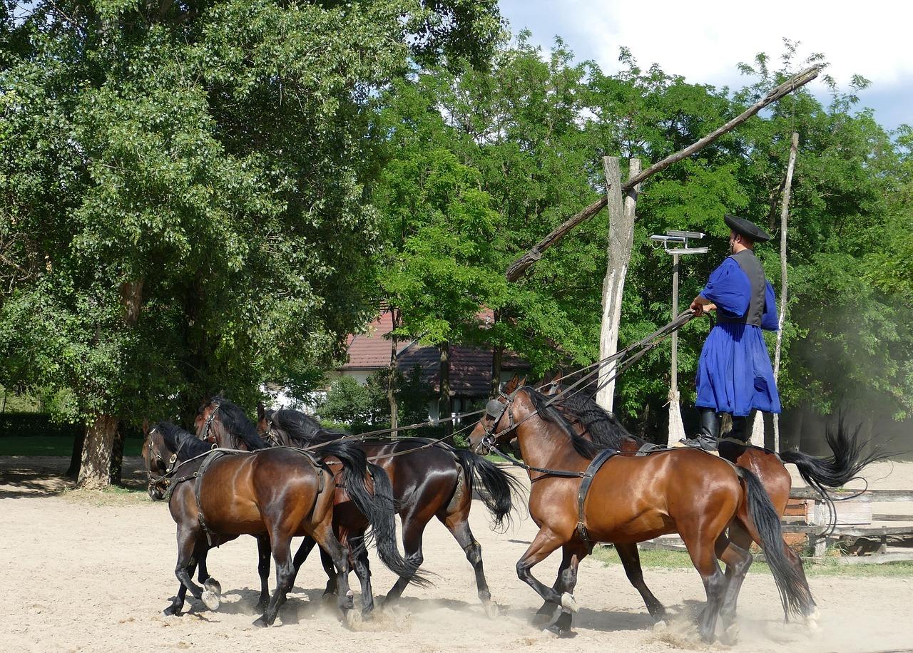 Hungarian Puszta Experience with Horse Show