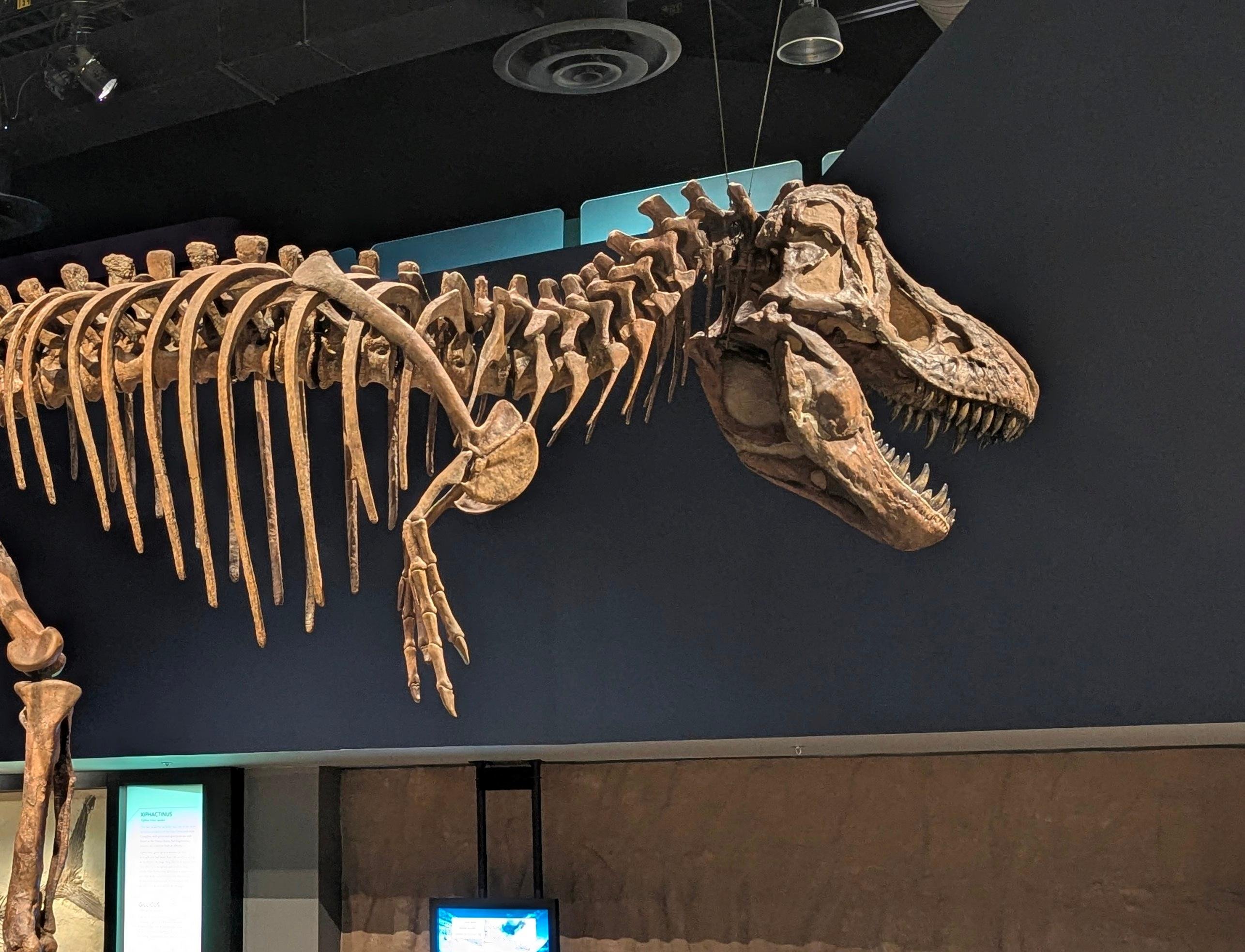 Small-Group Drumheller Badlands Adventure from Calgary