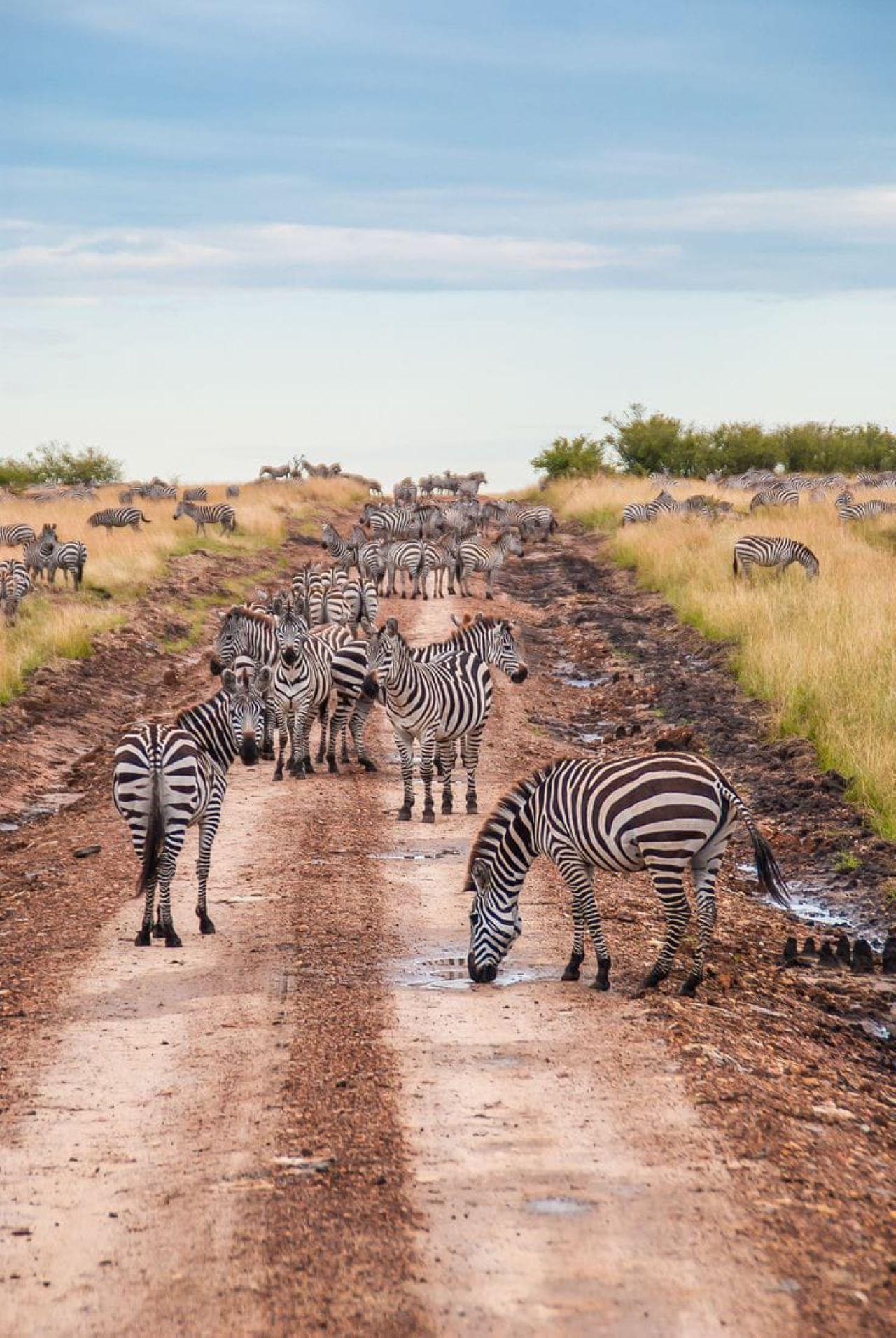 3-Day Maasai Mara Shared Jeep Safari from Nairobi