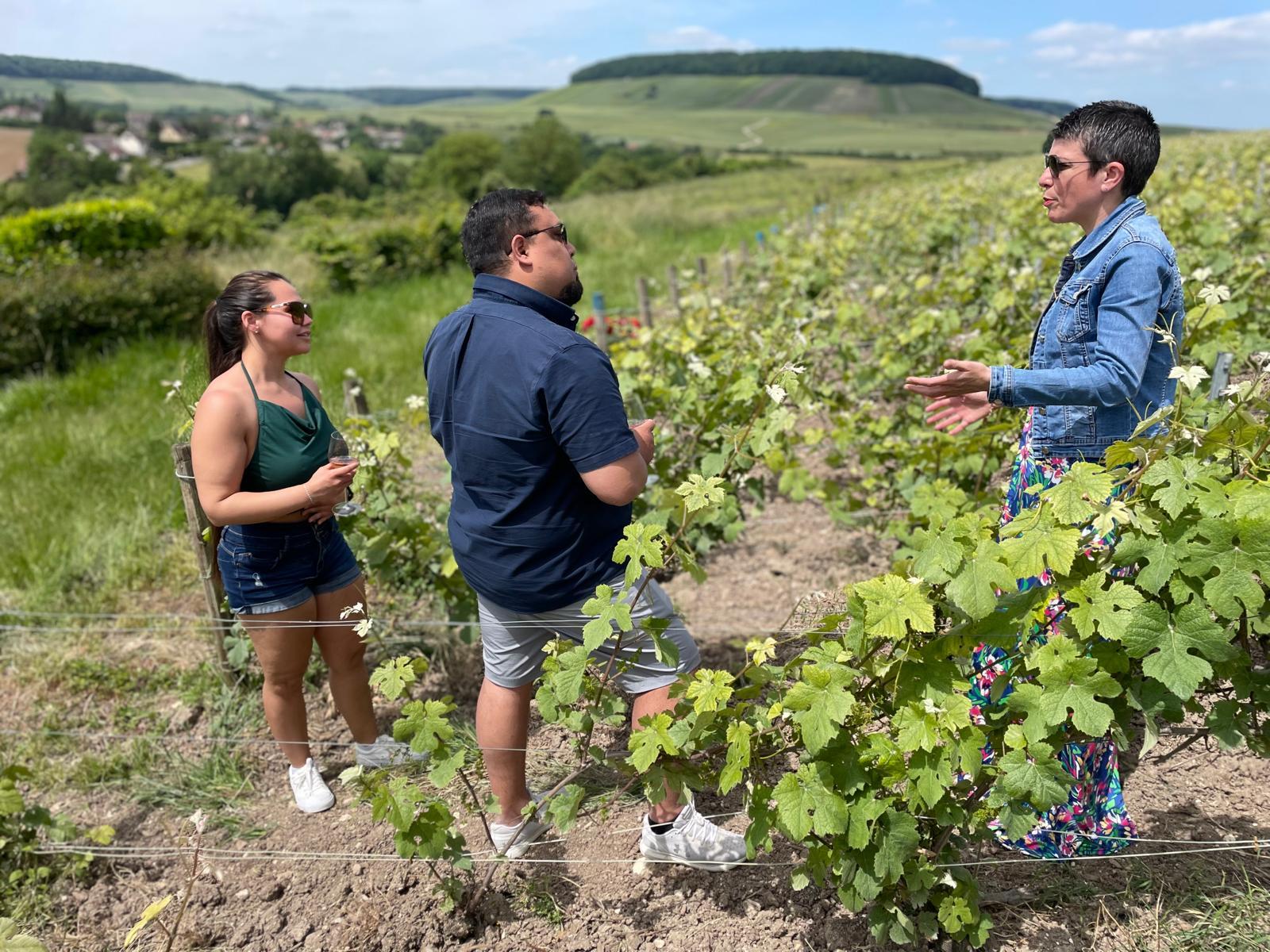 Champagne Munoz Bruneau : Half Day Visit and Tasting