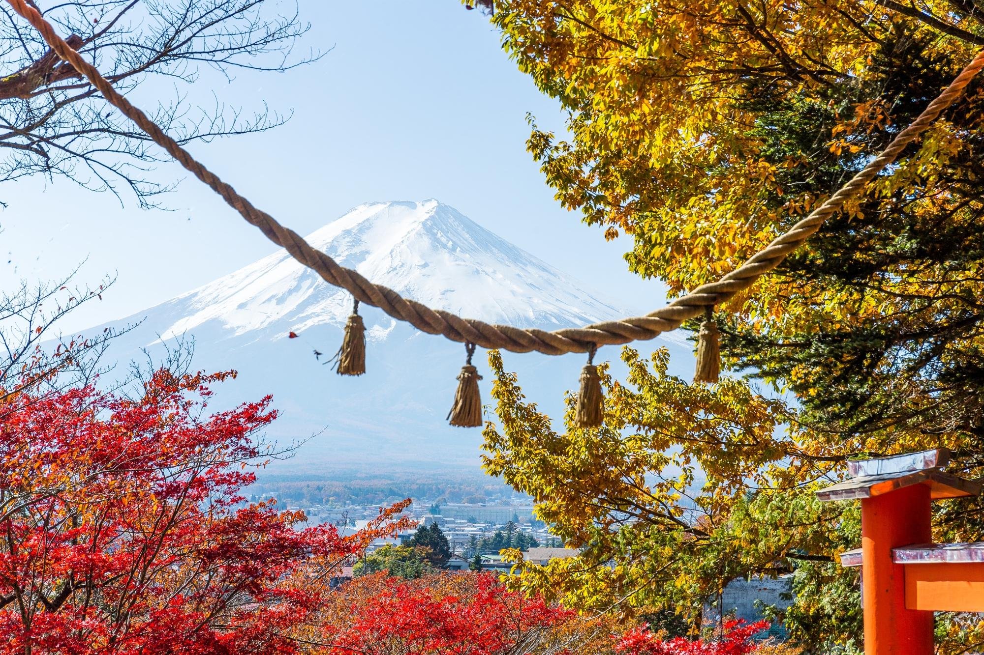 Mt. Fuji, Hakone & Arakura Pagoda Full-Day Tour from Tokyo