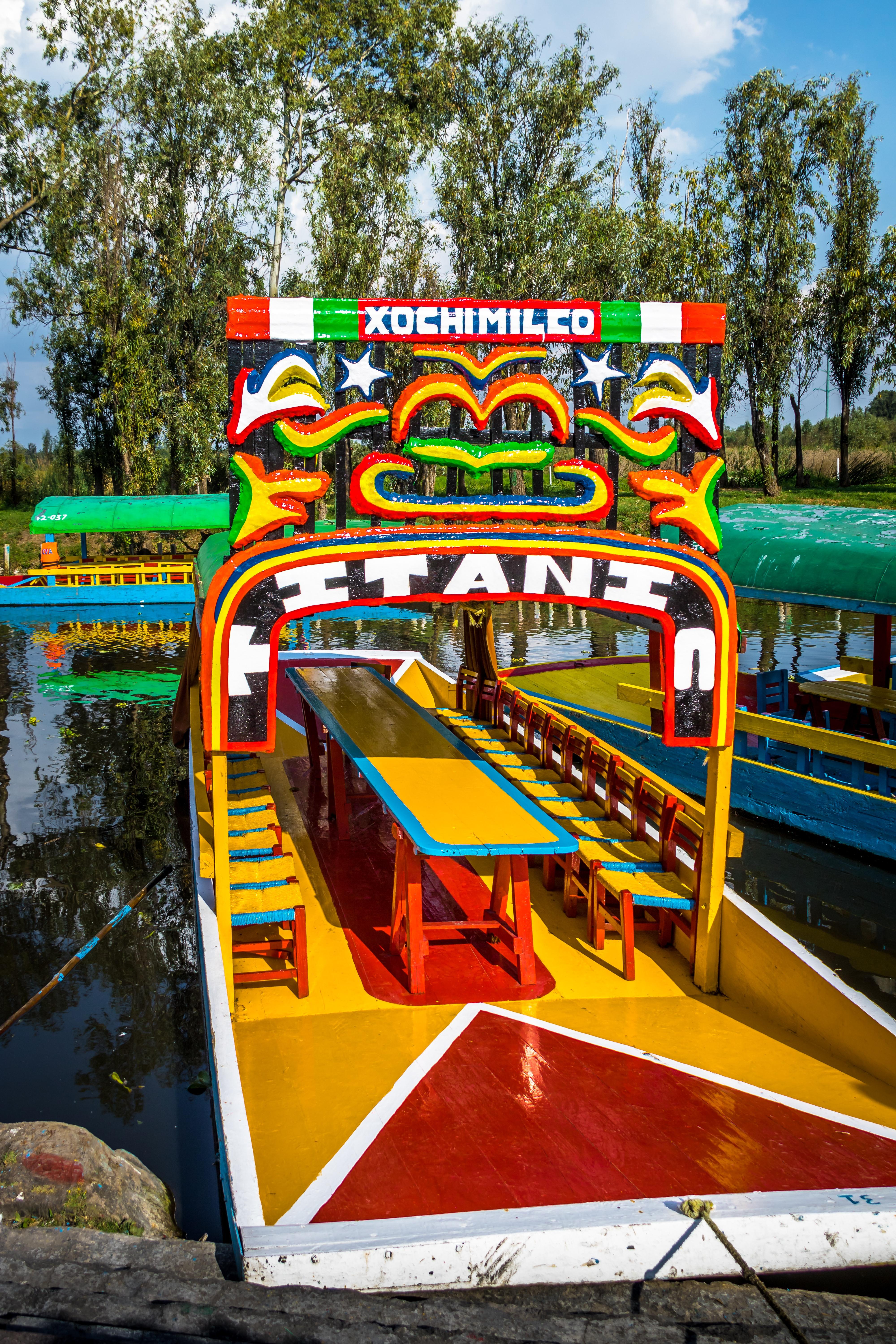 Mexico City Cultural Full-Day Tour: Xochimilco, UNAM & Coyoacán