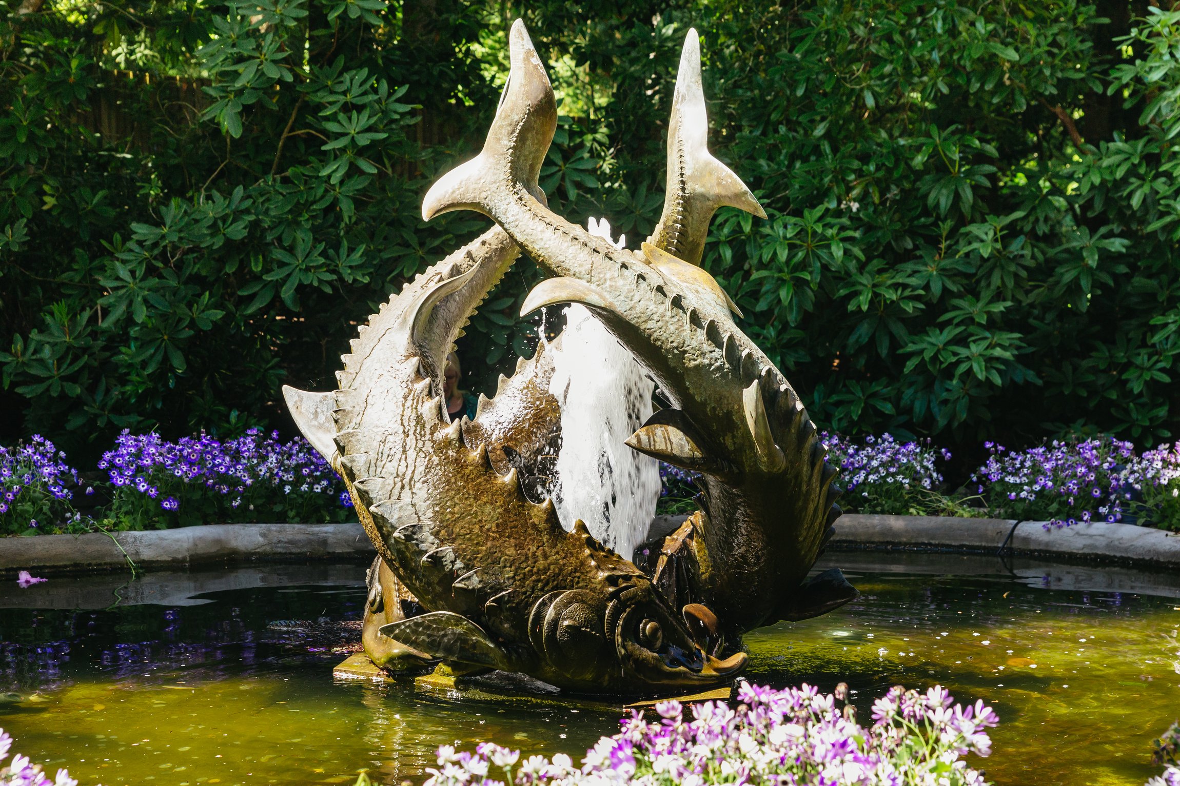 Butchart Gardens — the Sunken Garden, Rose Garden and Japanese Garden — image 19