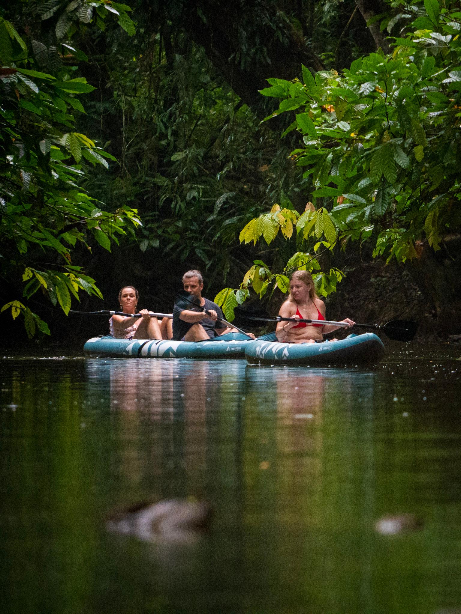 Punta Uva Wildlife Kayaking & Jungle Trail Tour