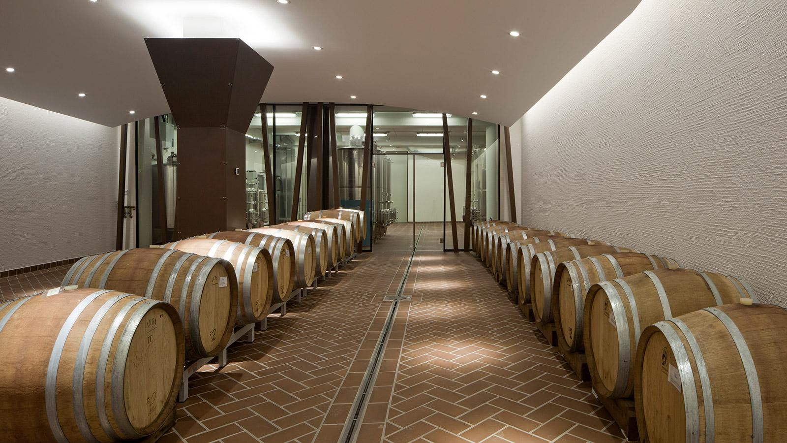 Bardolino Wine Tasting: 6 Reds from Valpolicella & Lake Garda