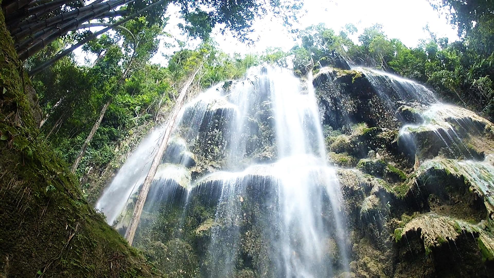 Cebu Triple Wonder: Whale Sharks, Sumilon Sandbar & Tumalog Falls