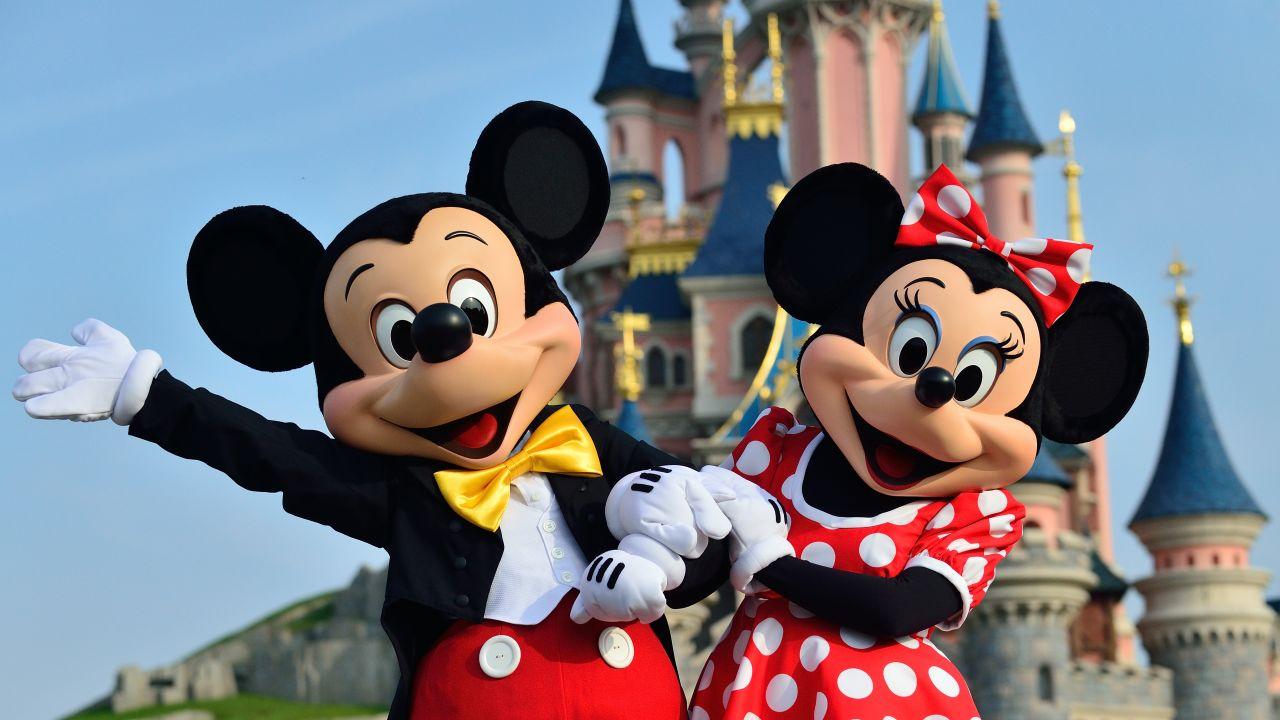 Private Transfer: Paris Airport or Hotel to Disneyland
