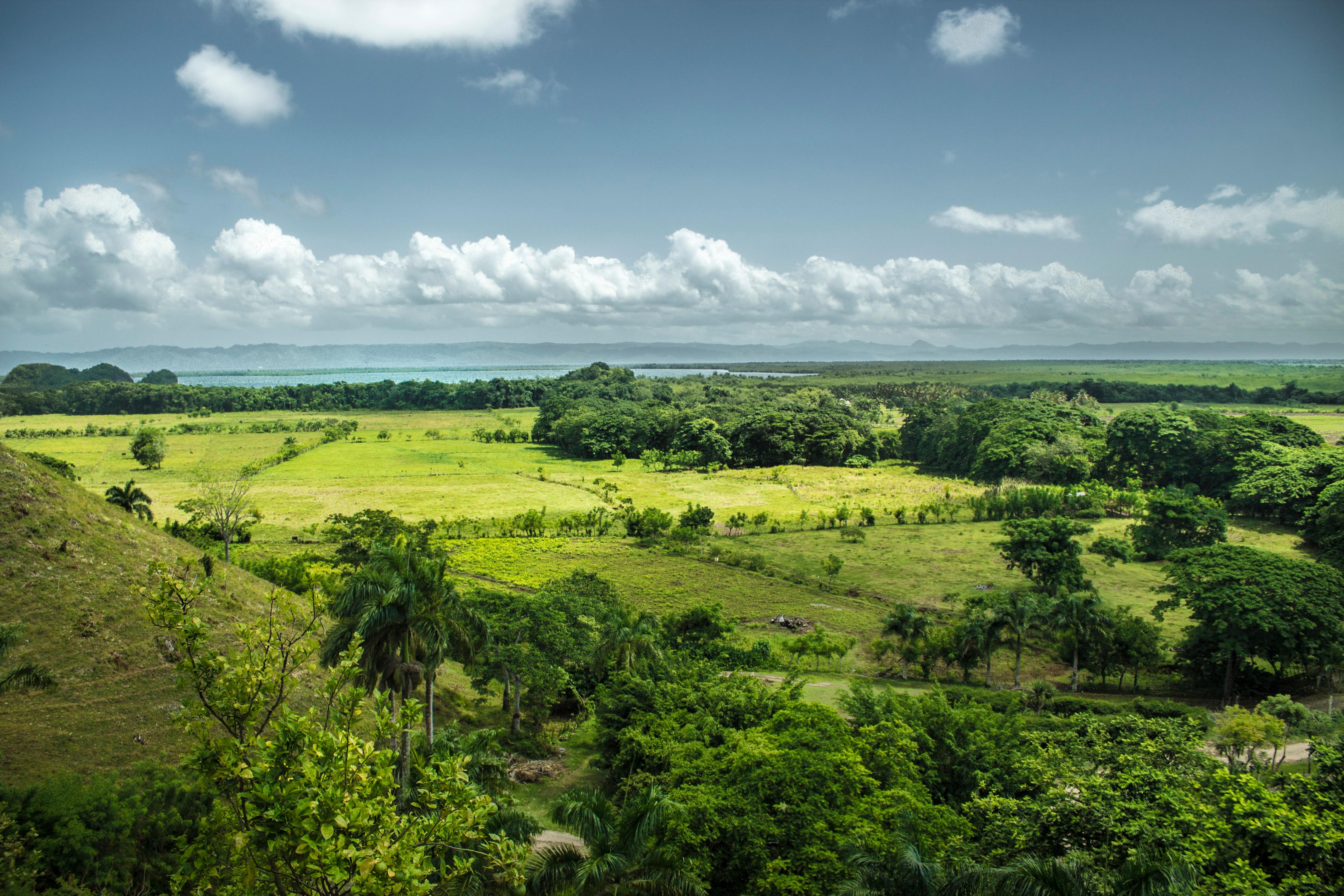 Dominican Republic 3-in-1: Los Haitises, Yanigua Falls & Montaña Redonda