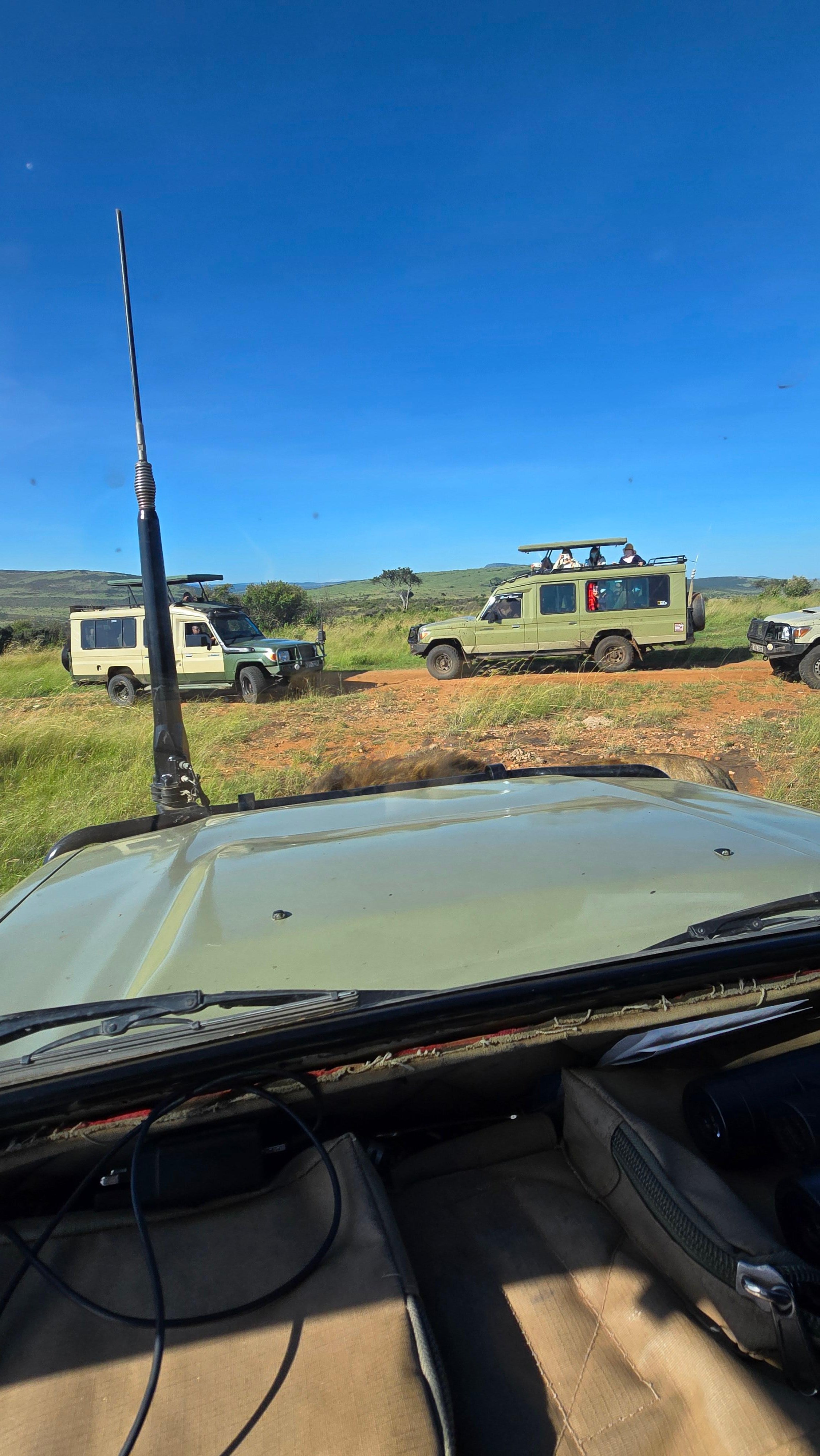 3-Day Maasai Mara Safari by 4WD Landcruiser from Nairobi