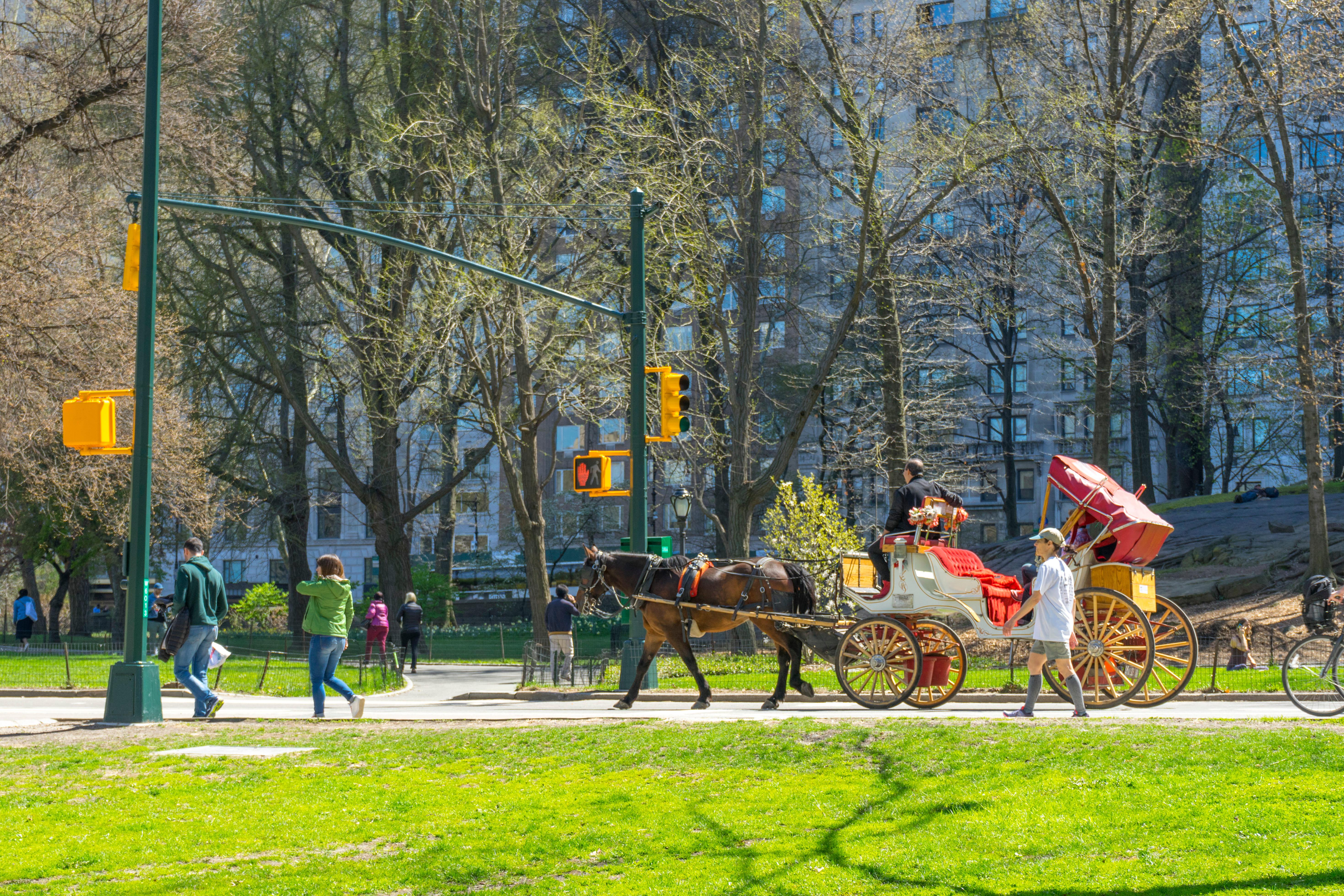 Private Central Park Horse Carriage Tour with Guide