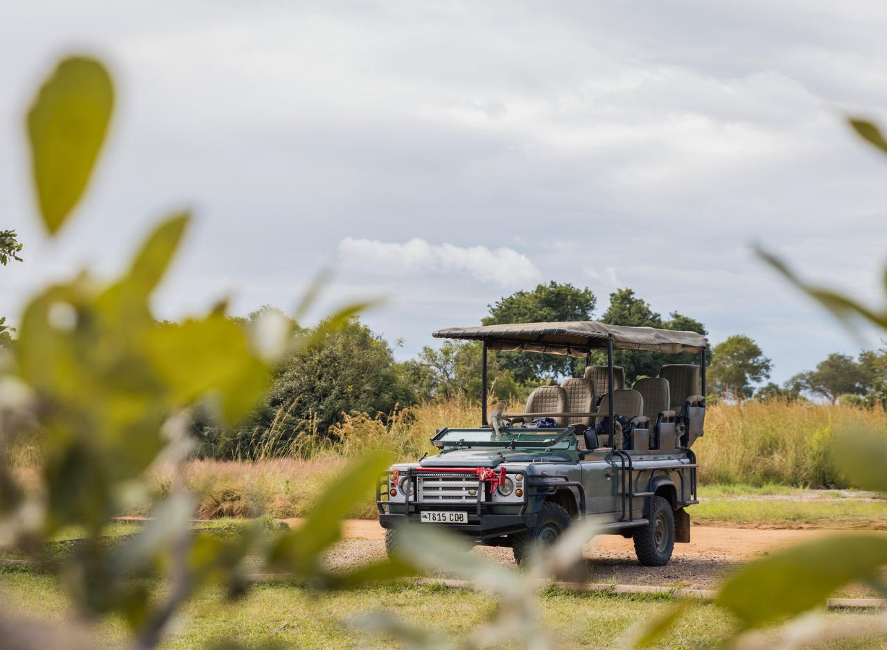 Zanzibar to Mikumi: Fly-In Safari Day Trip by Twin-Engine Plane