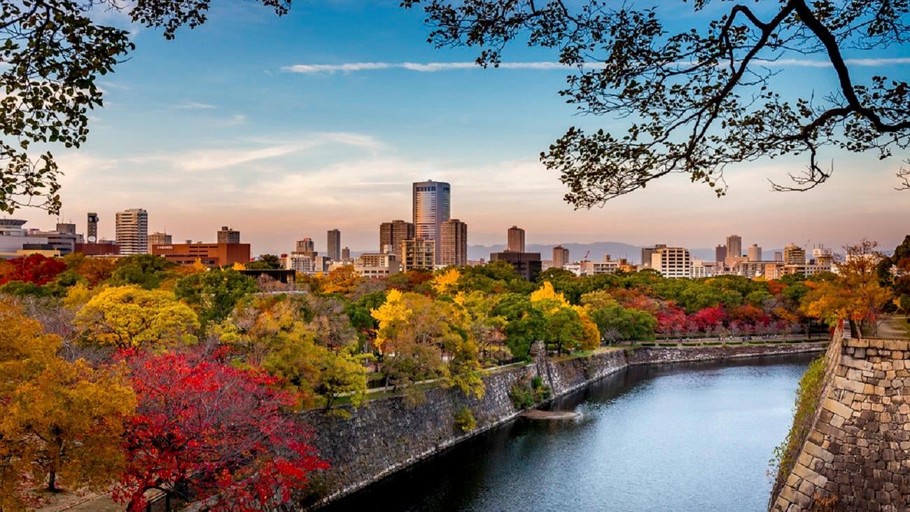 Osaka Castle & Samurai Heritage Walking Tour