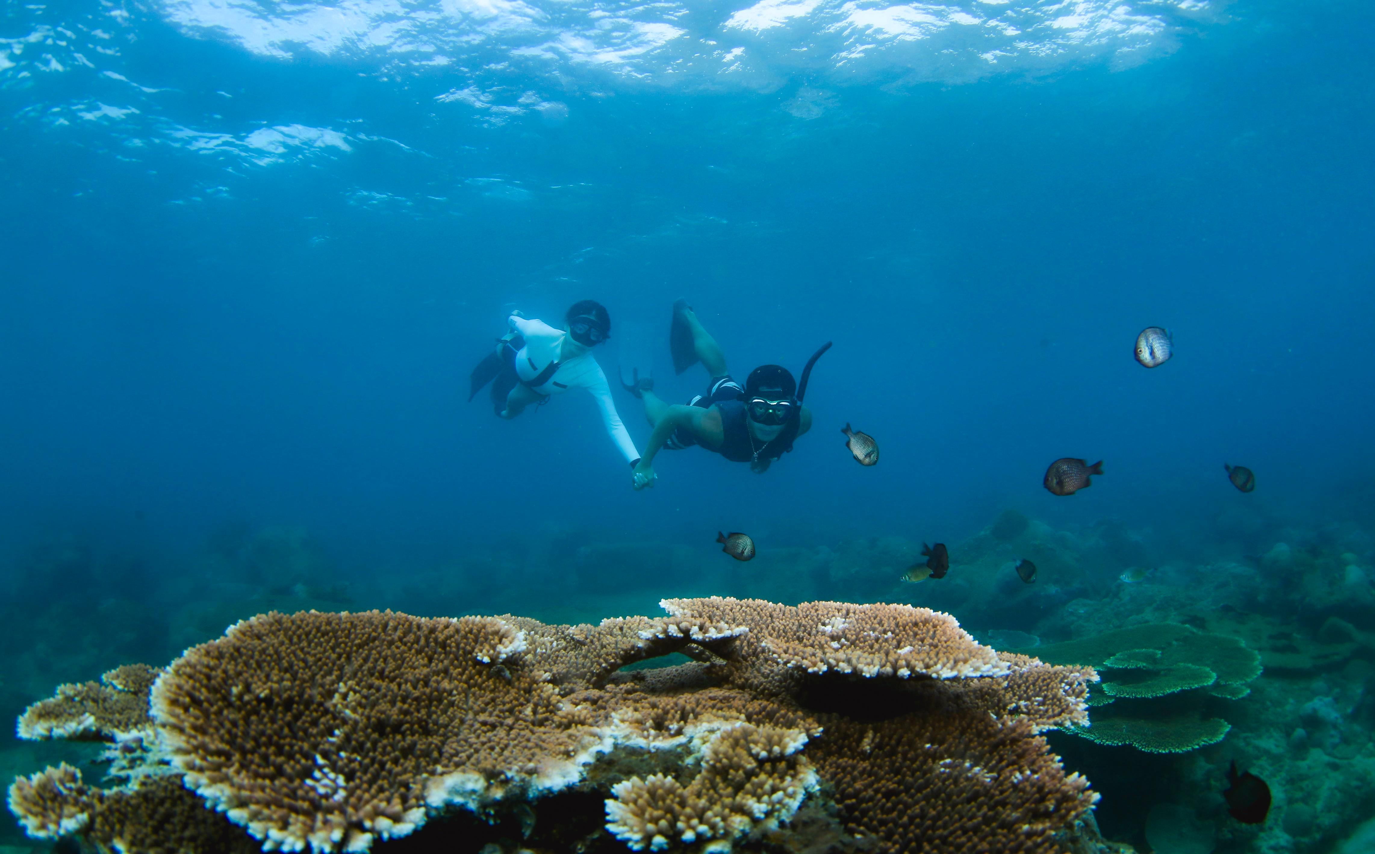 Three Island Snorkeling & Diving Adventure