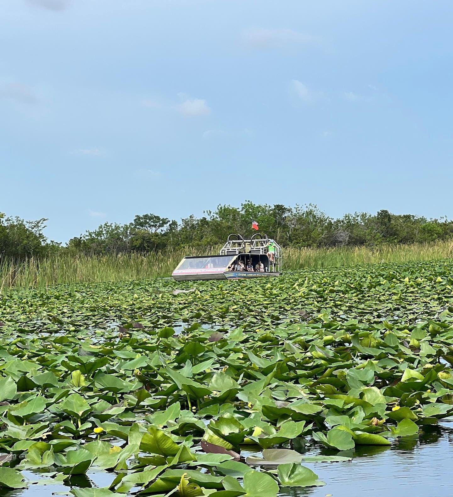 Everglades Airboat Adventure with Miami Transportation
