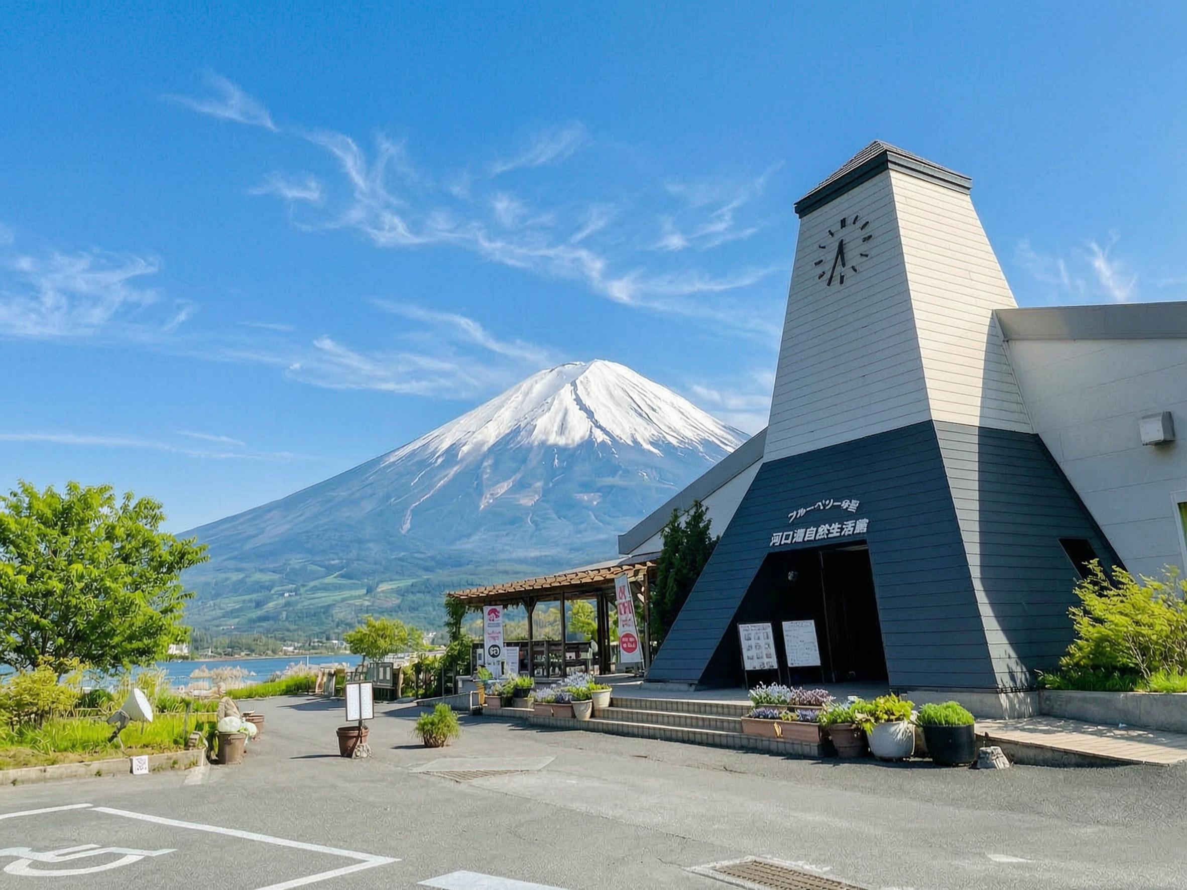 Tokyo Day Trip: Mt. Fuji, Chureito Pagoda & Oshino Hakkai
