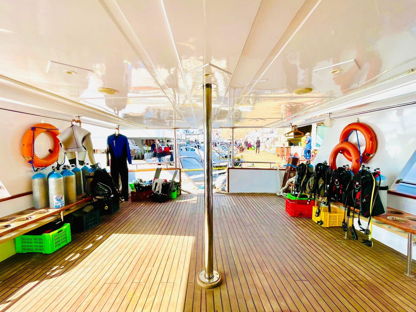 Sharm El Sheikh: Ras Mohamed & White Island Dive & Snorkel Day Trip