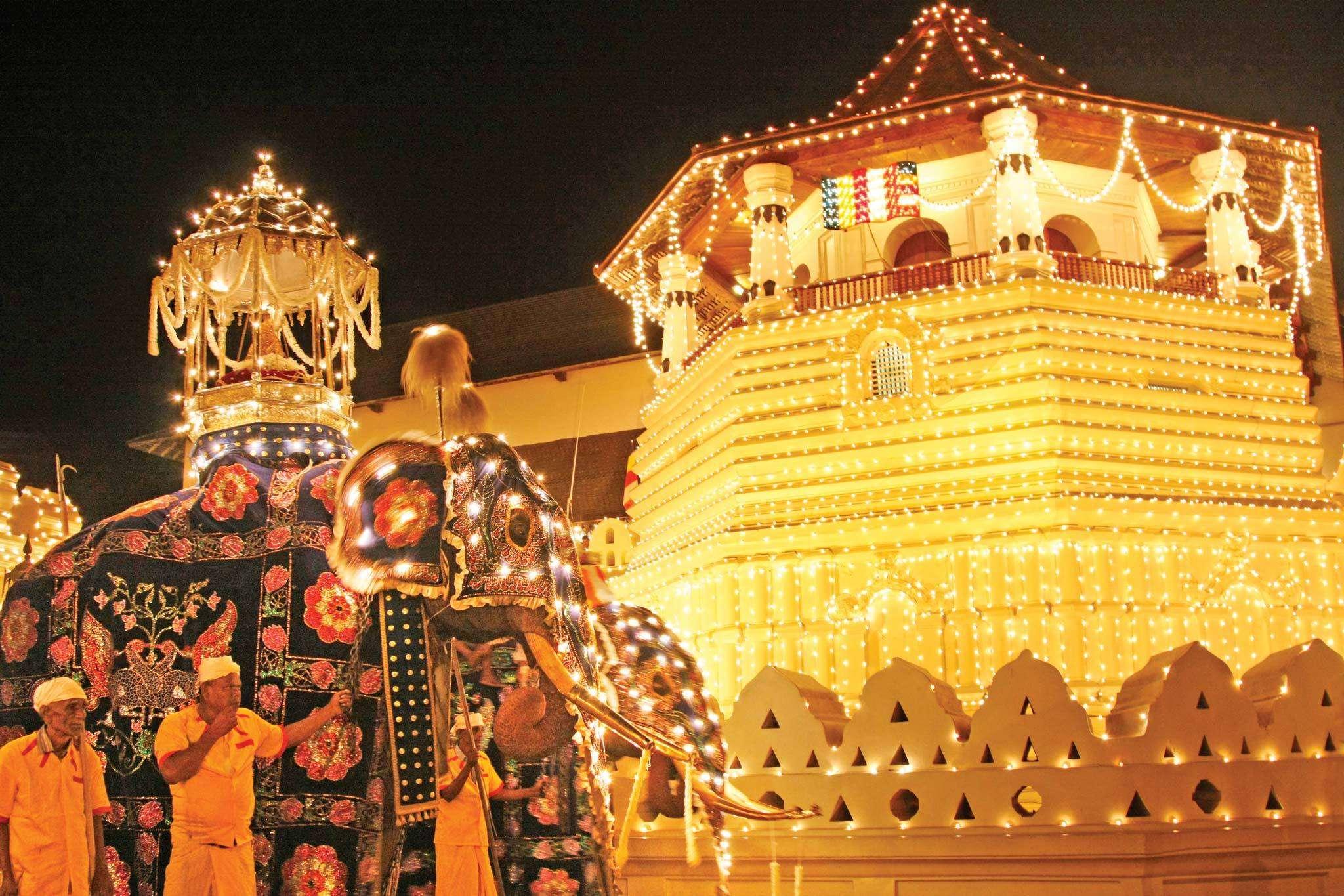 Kandy Esala Perahera VIP Experience with Refreshments