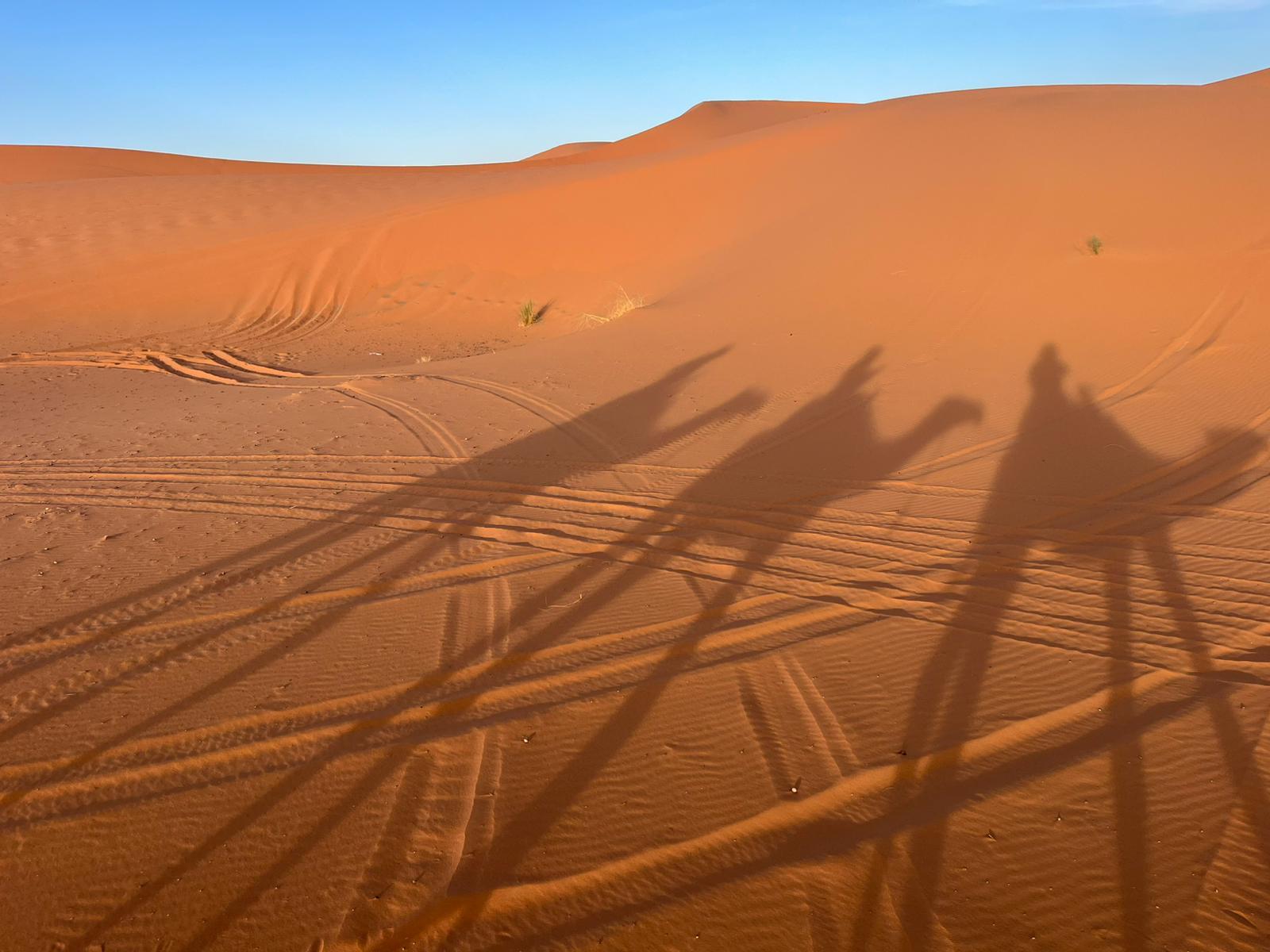 3-Day Sahara Desert Expedition: Fes to Marrakech