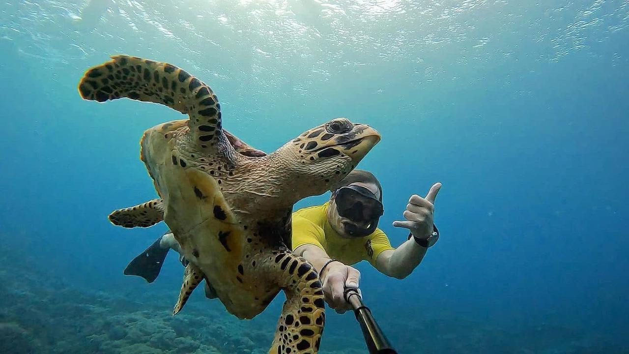Three-Bay Snorkeling Adventure from Lembongan
