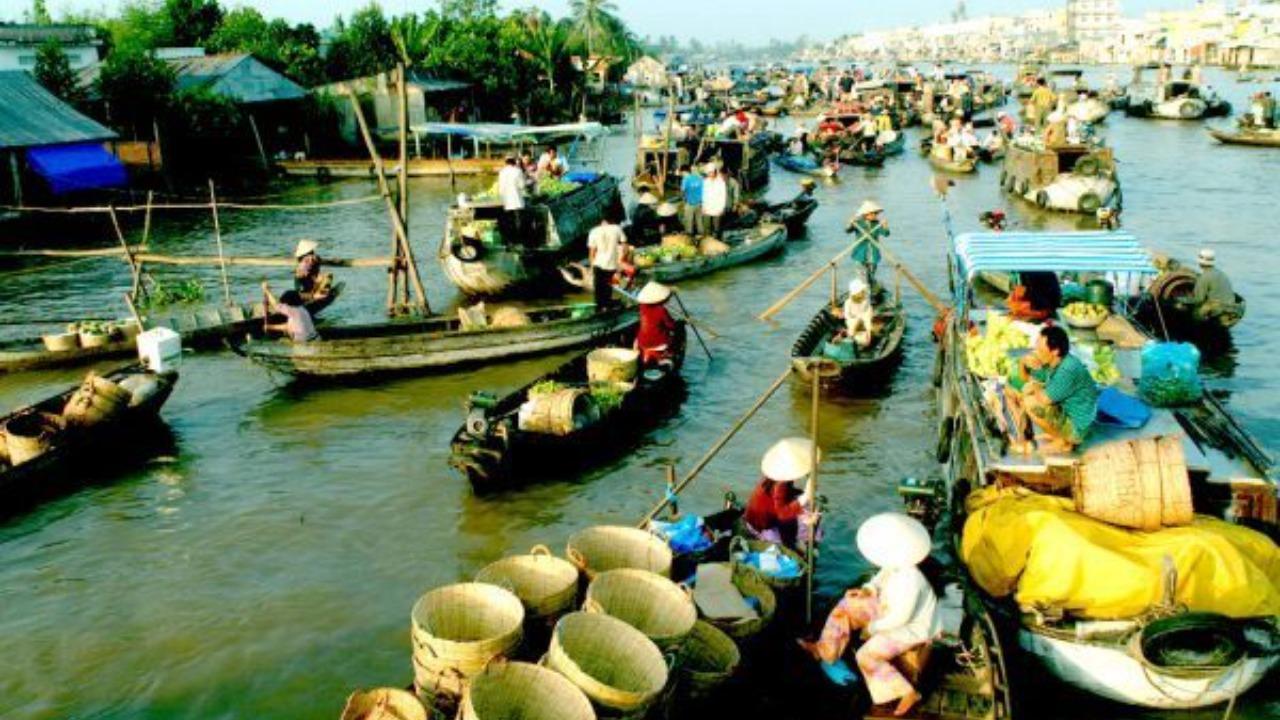 Can Tho Sunrise Floating Market & Mekong Forest Private Tour