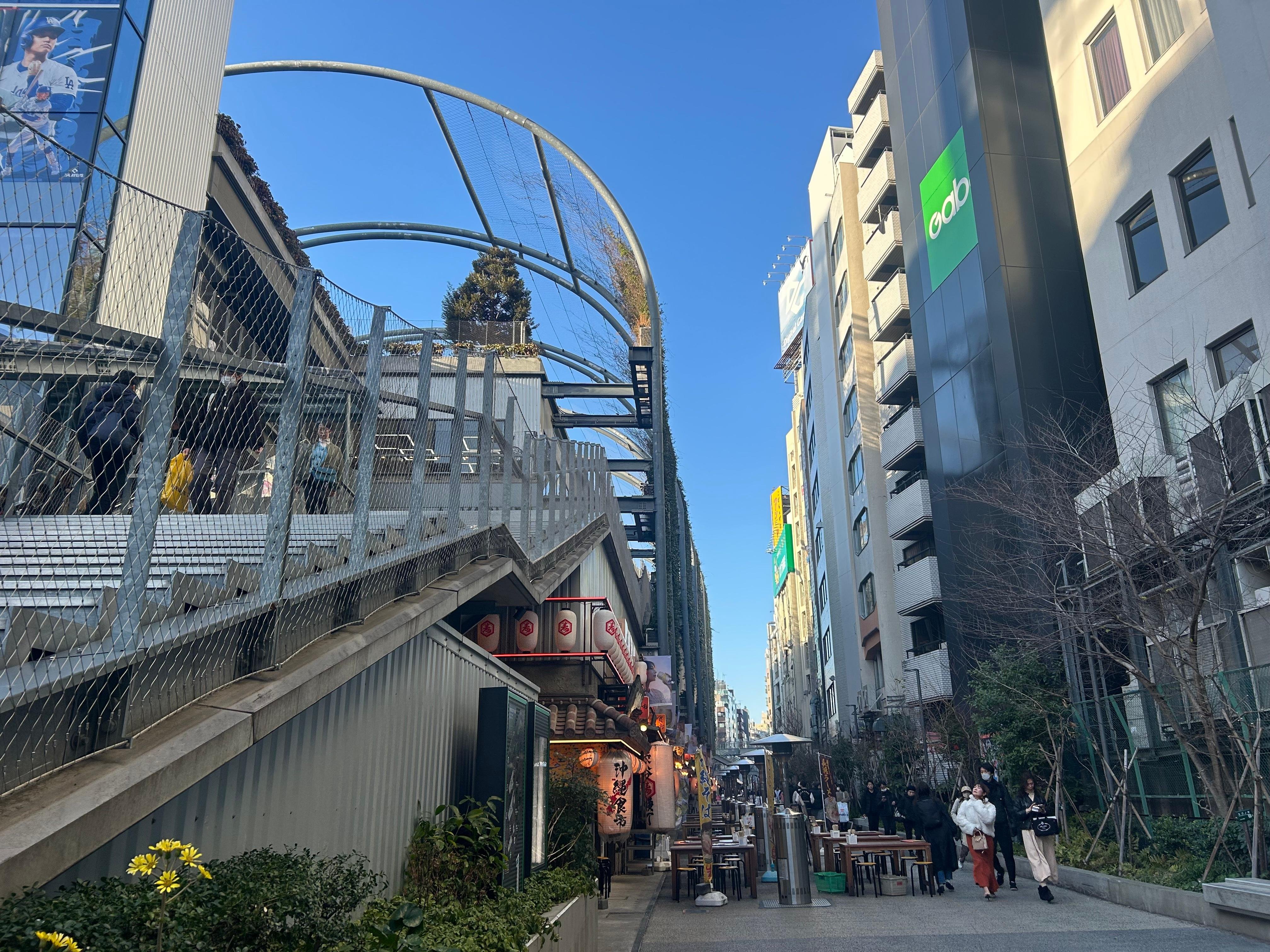 Shibuya Highlights Walking Tour with Local Guide