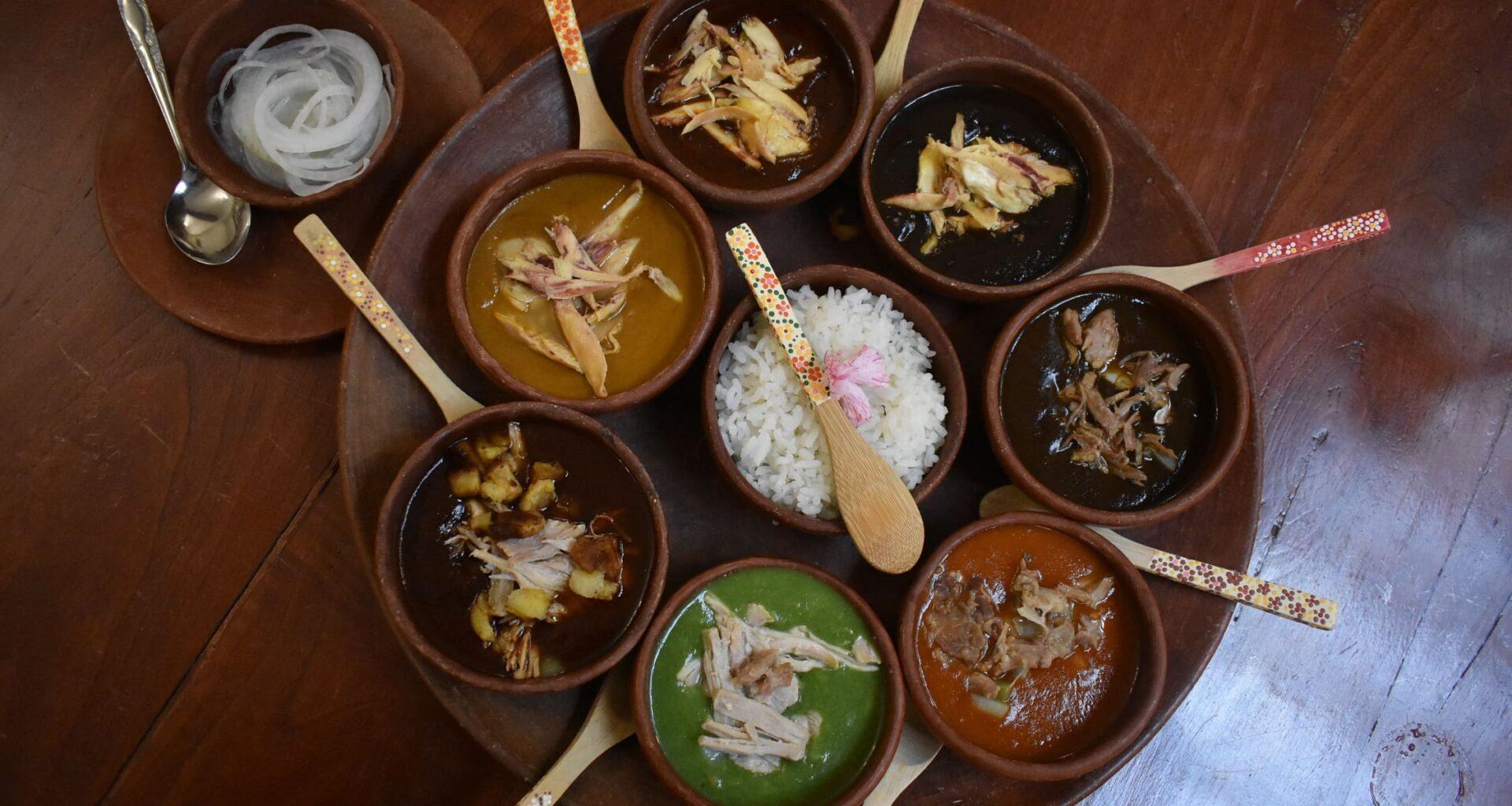Oaxaca Mole Tasting, Teotitlán Weavers & El Tule Tree