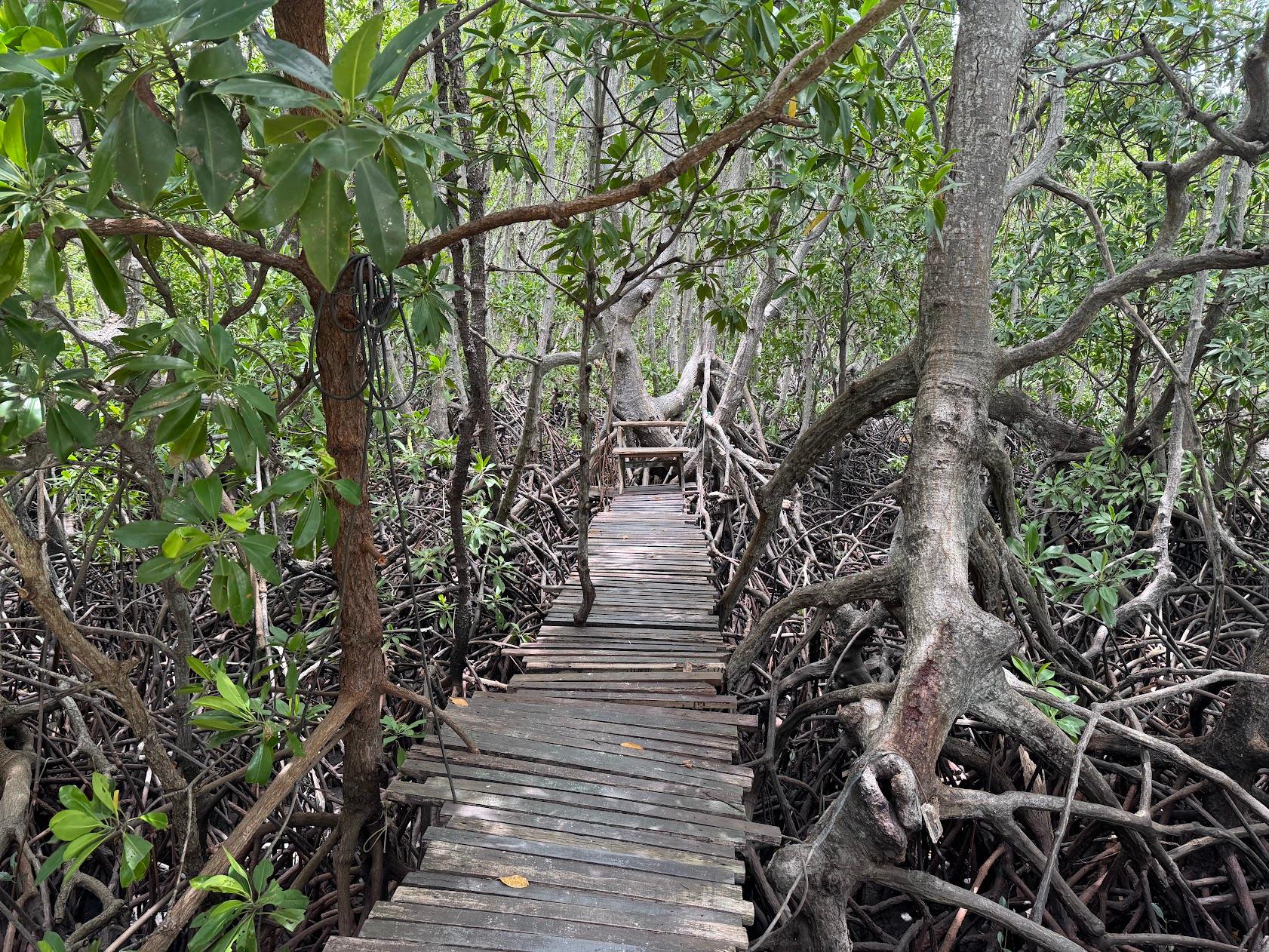 Private Koh Madsum & Koh Tan Longtail Boat Excursion